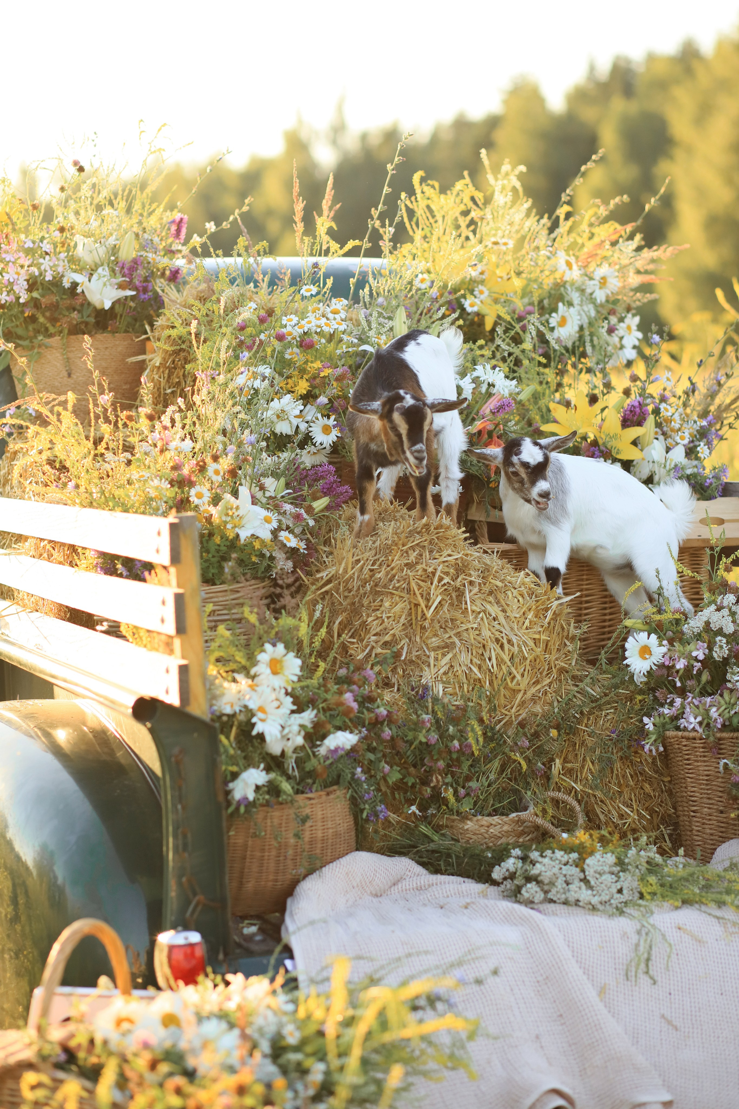Семья Марии. Семейный и портретный фотограф в Москве Александра Науменко