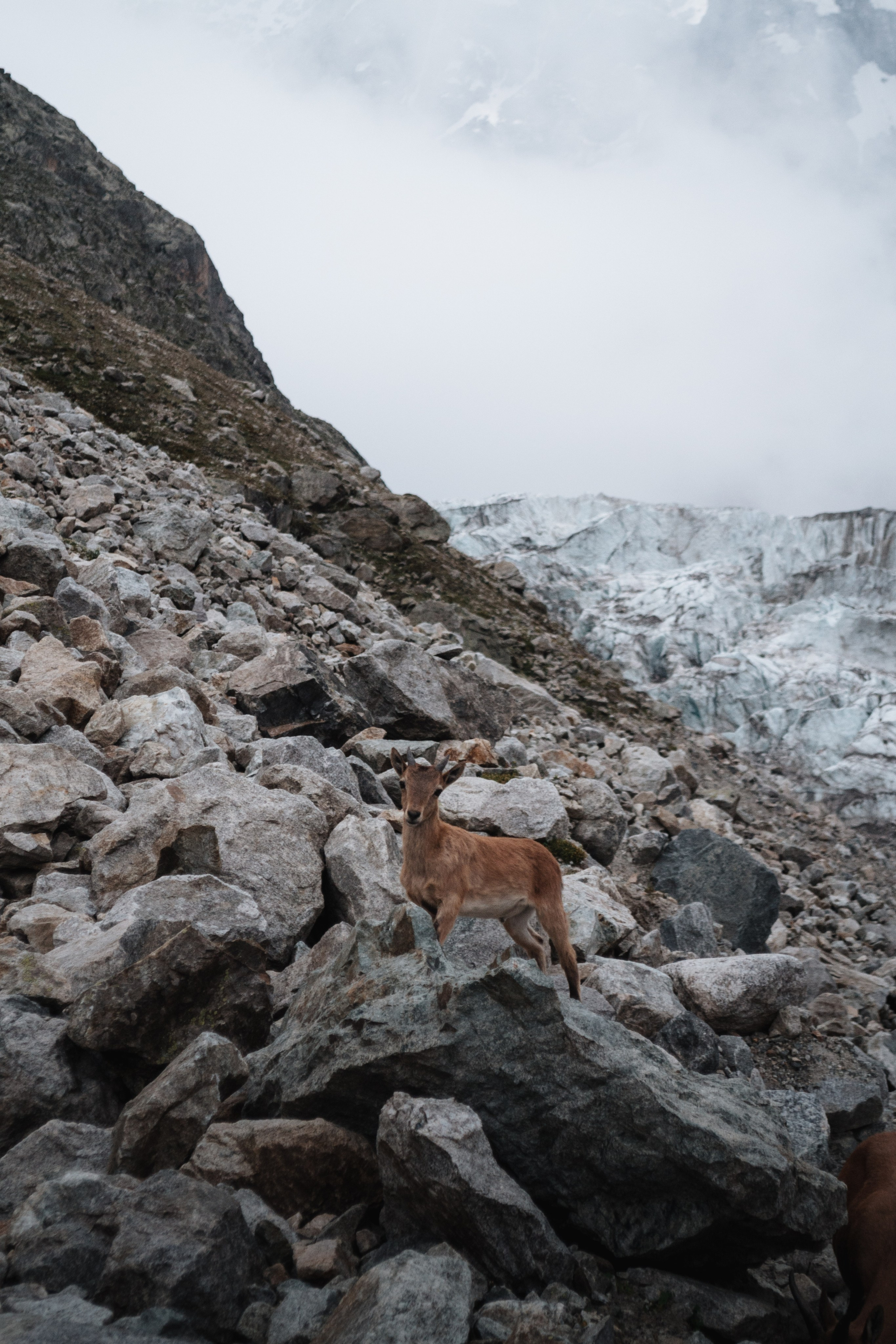 Альплагерь «Безенги». Фотограф Настя | Экспедиции и лайфстайл
