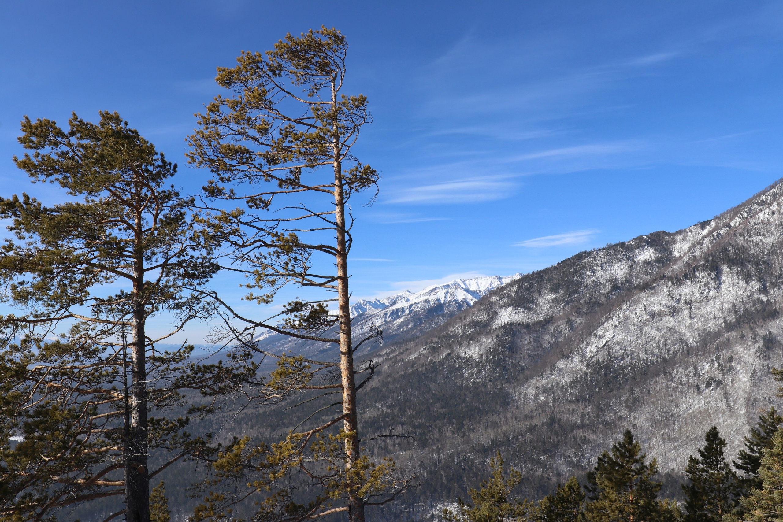 Аршан. Февраль 2025. Путешественник-фотограф из Санкт-Петербурга Татьяна Свистулина