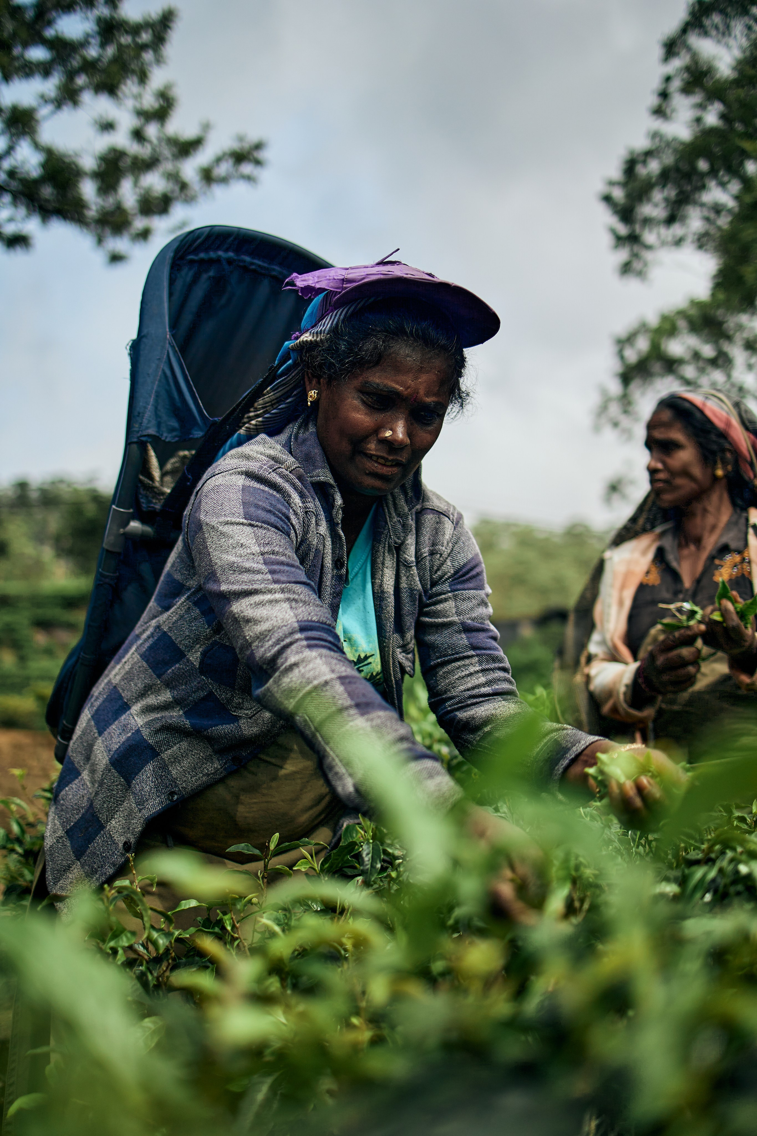 Шри-Ланка. Хороший репортажный и промышленный фотограф в Казани Алексей Щелконогов