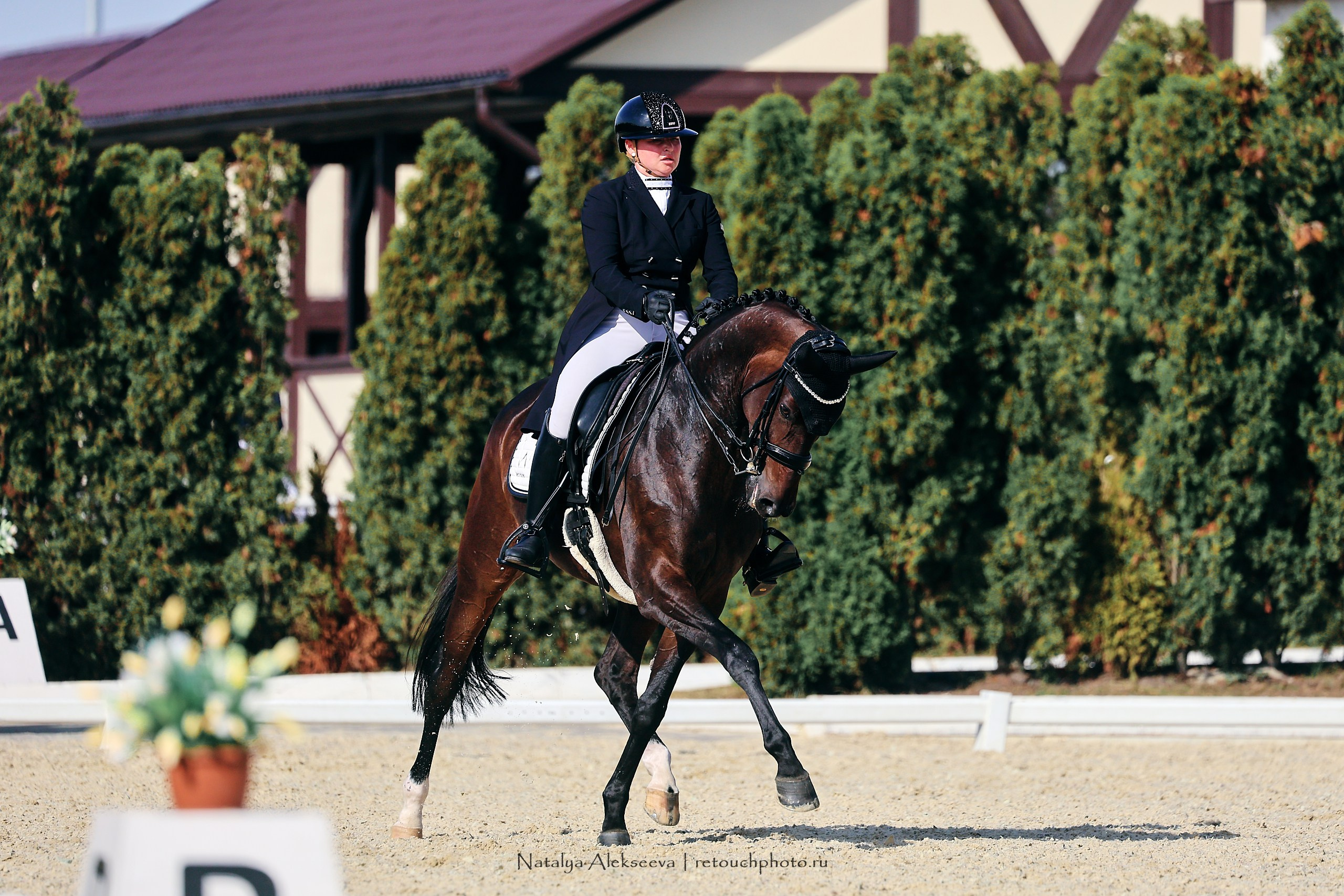 2023.09.22-24 Чемпионат MM Eurasia по средним ездам, Maxima Stables | 09'2023. Репортажный фотограф и ретушер в Москве Наталья Алексеева