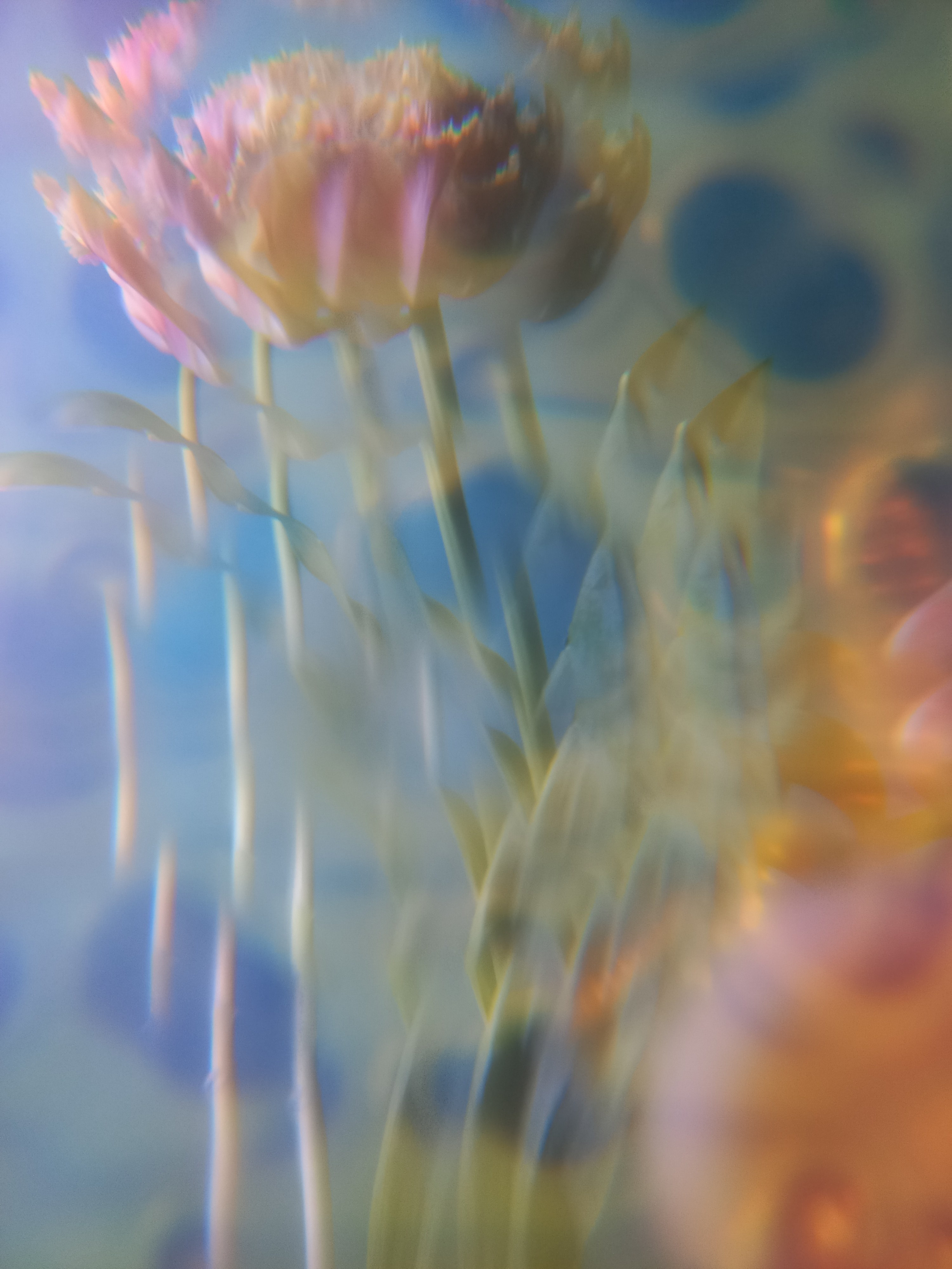 Фотограф Марина Гранкина