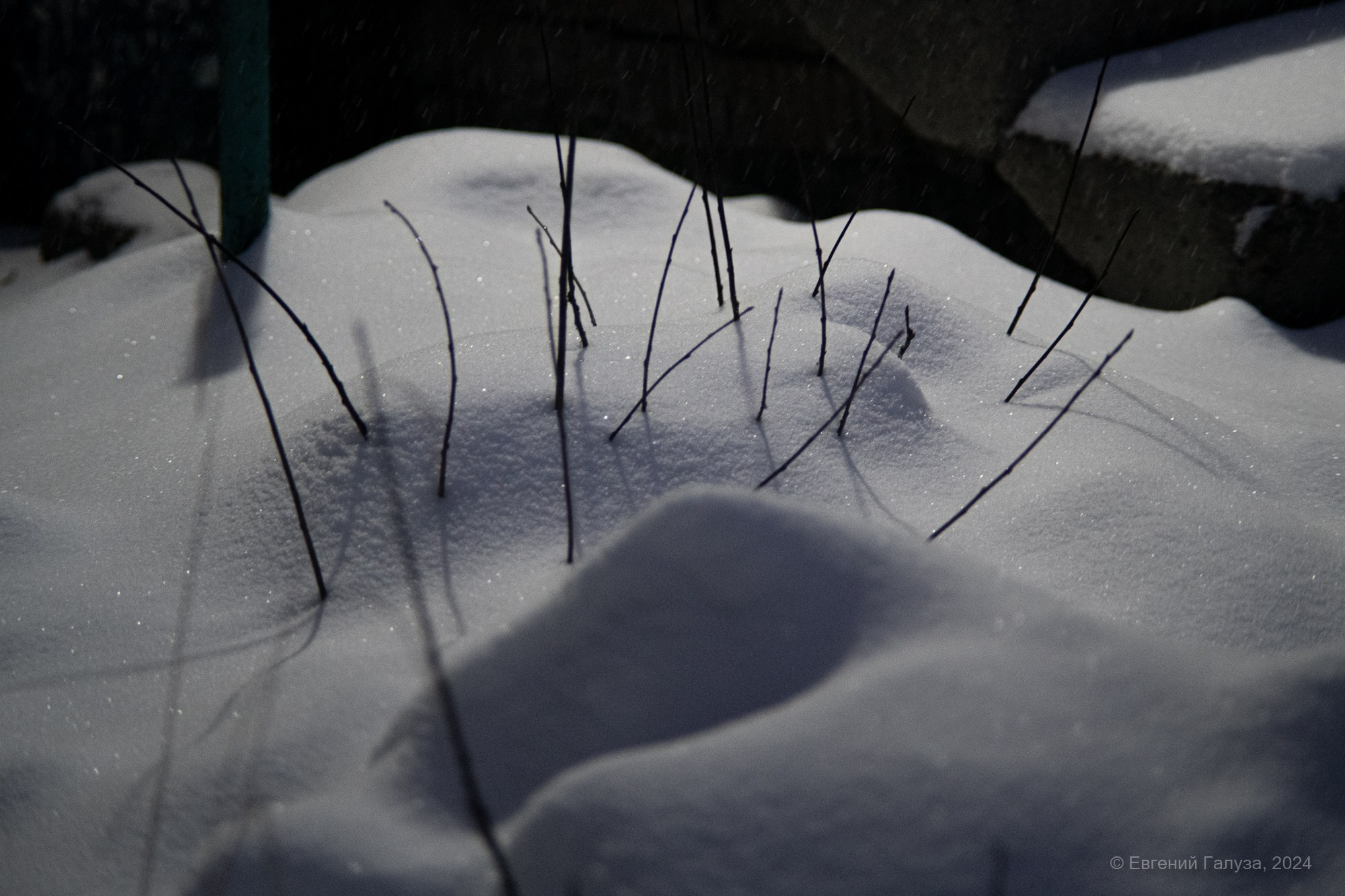 Разное. Репортажный фотограф г. Чита