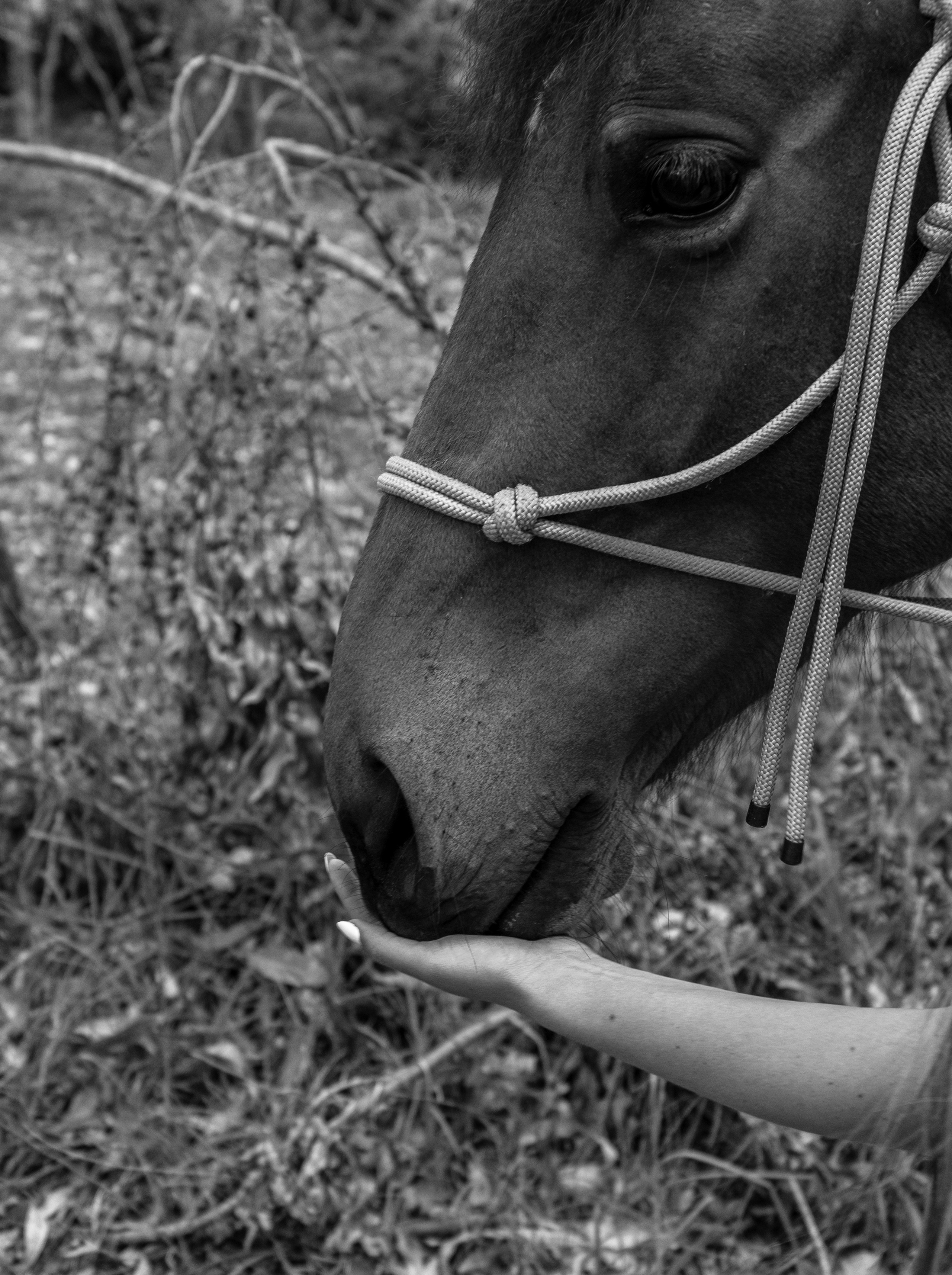 Preboda Aleja. Wedding Photographer in Barcelona and Medellin
