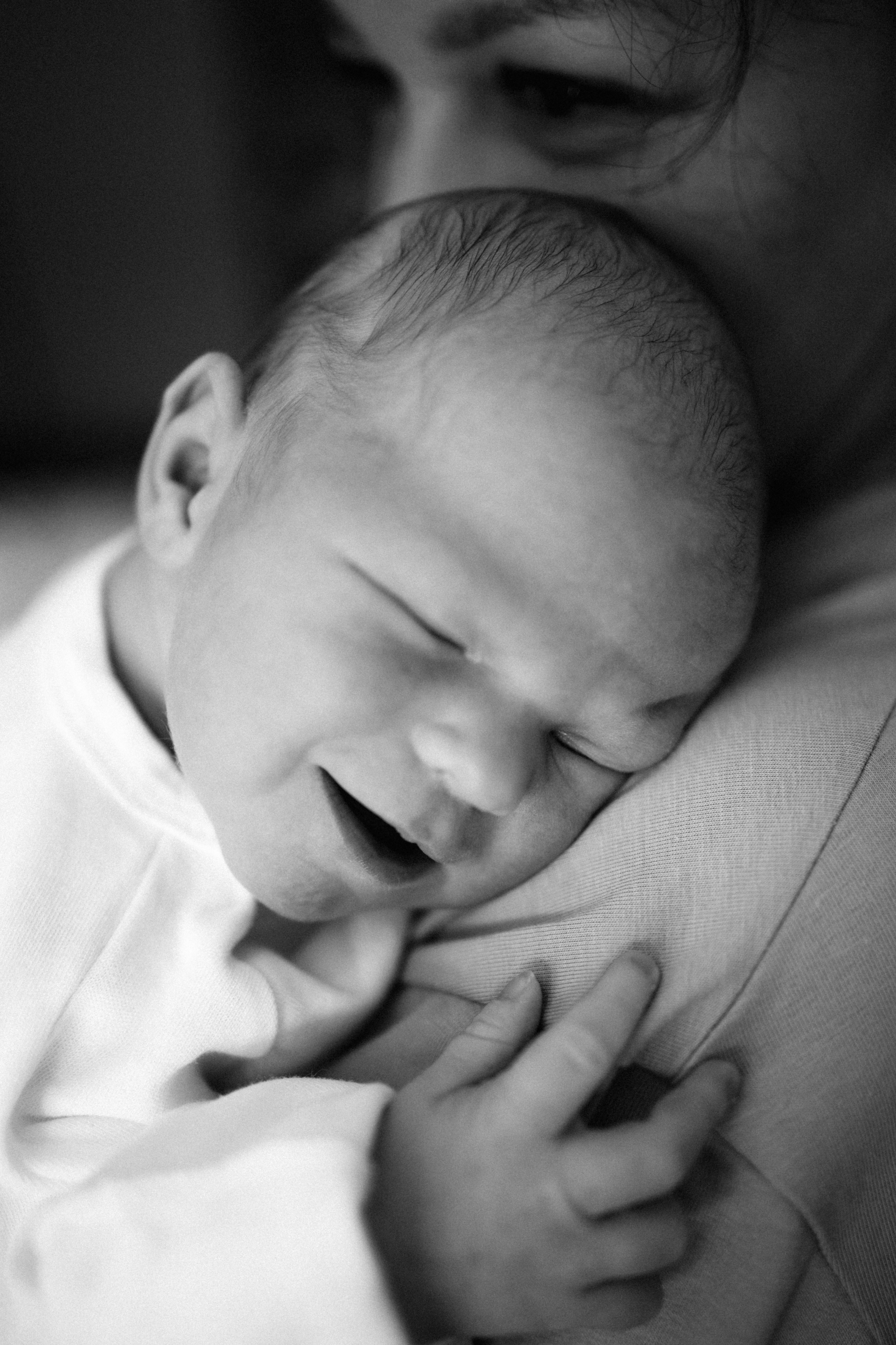 Домашние. Главная