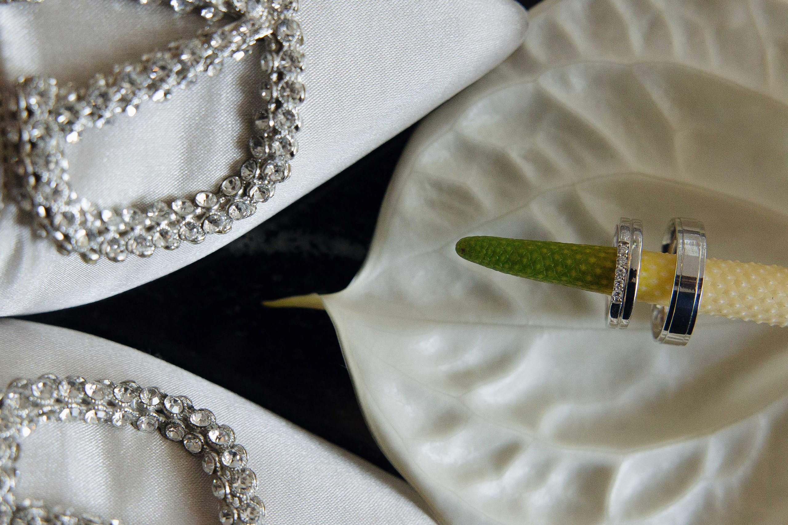 Hot-N-Fun. Главная