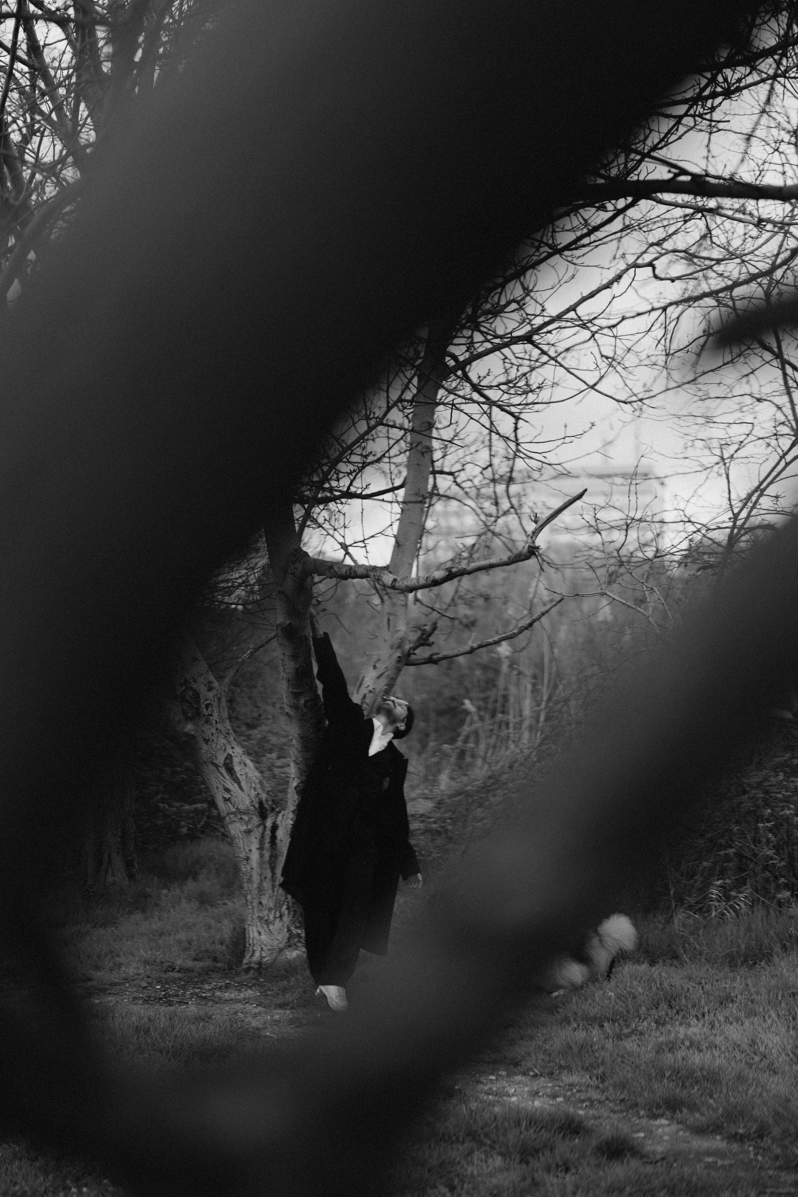 Друг человека. Фотограф Дарья Филатова