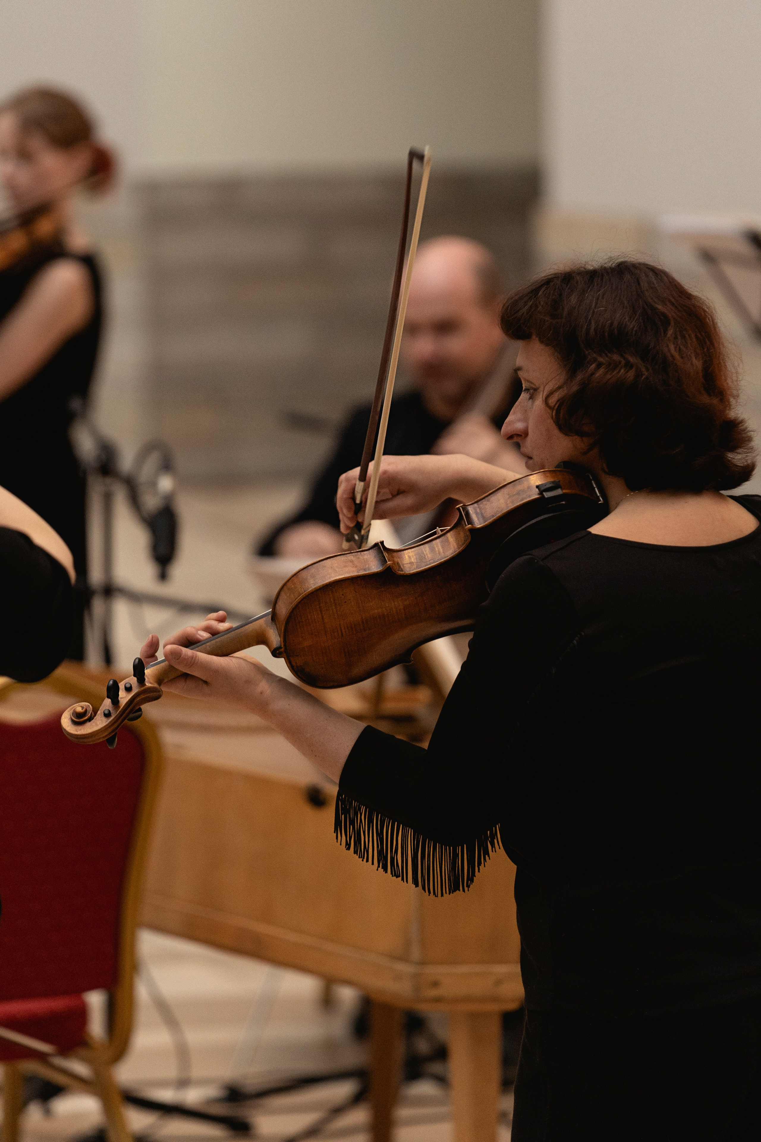 The State Hermitage Museum. Divertissement Chamber Orchestra. Фотограф Ирина Соколенко Санкт-Петербург