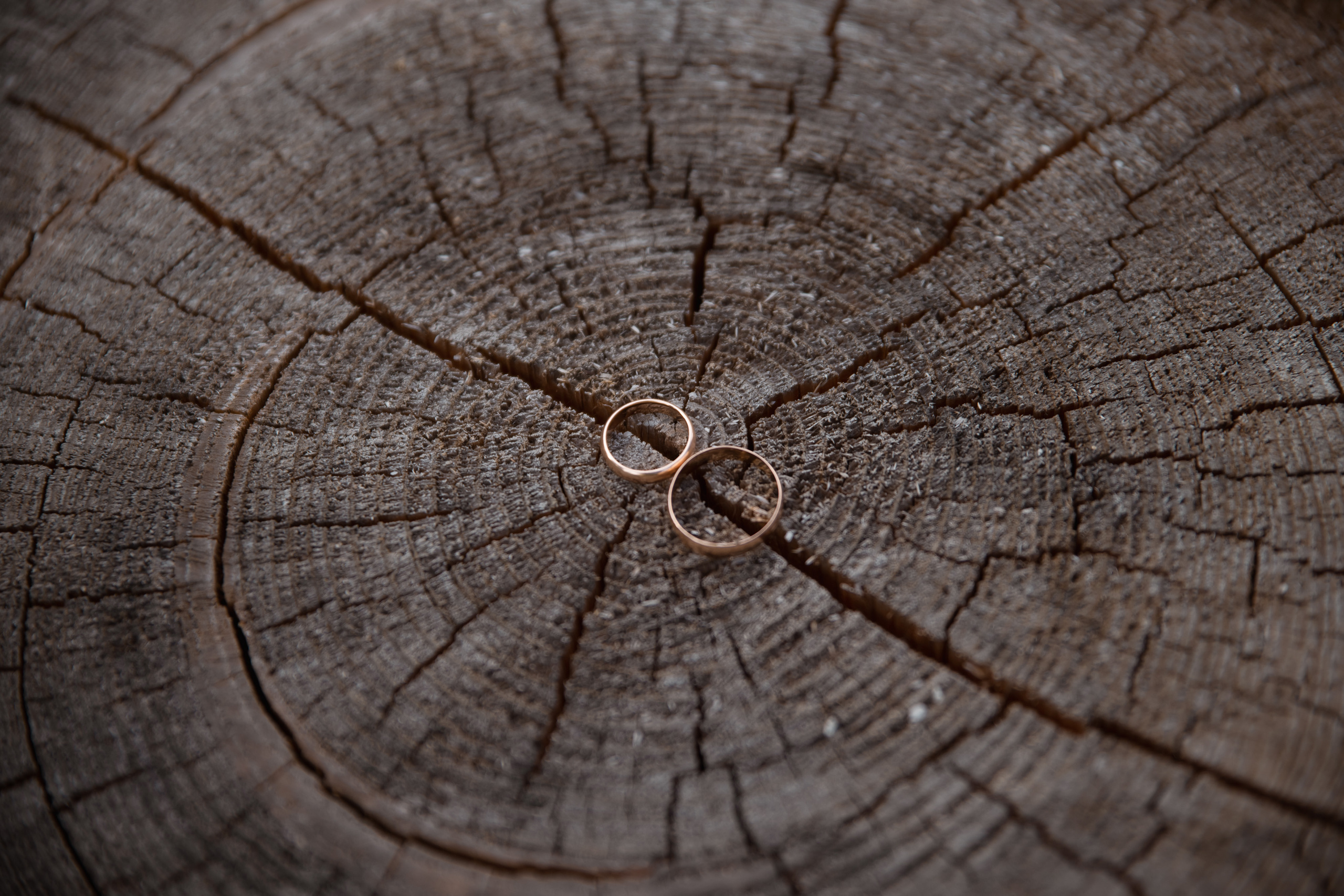 Свадьба Екатерина и Андрей. Саенко Людмила Фотограф из Тулы