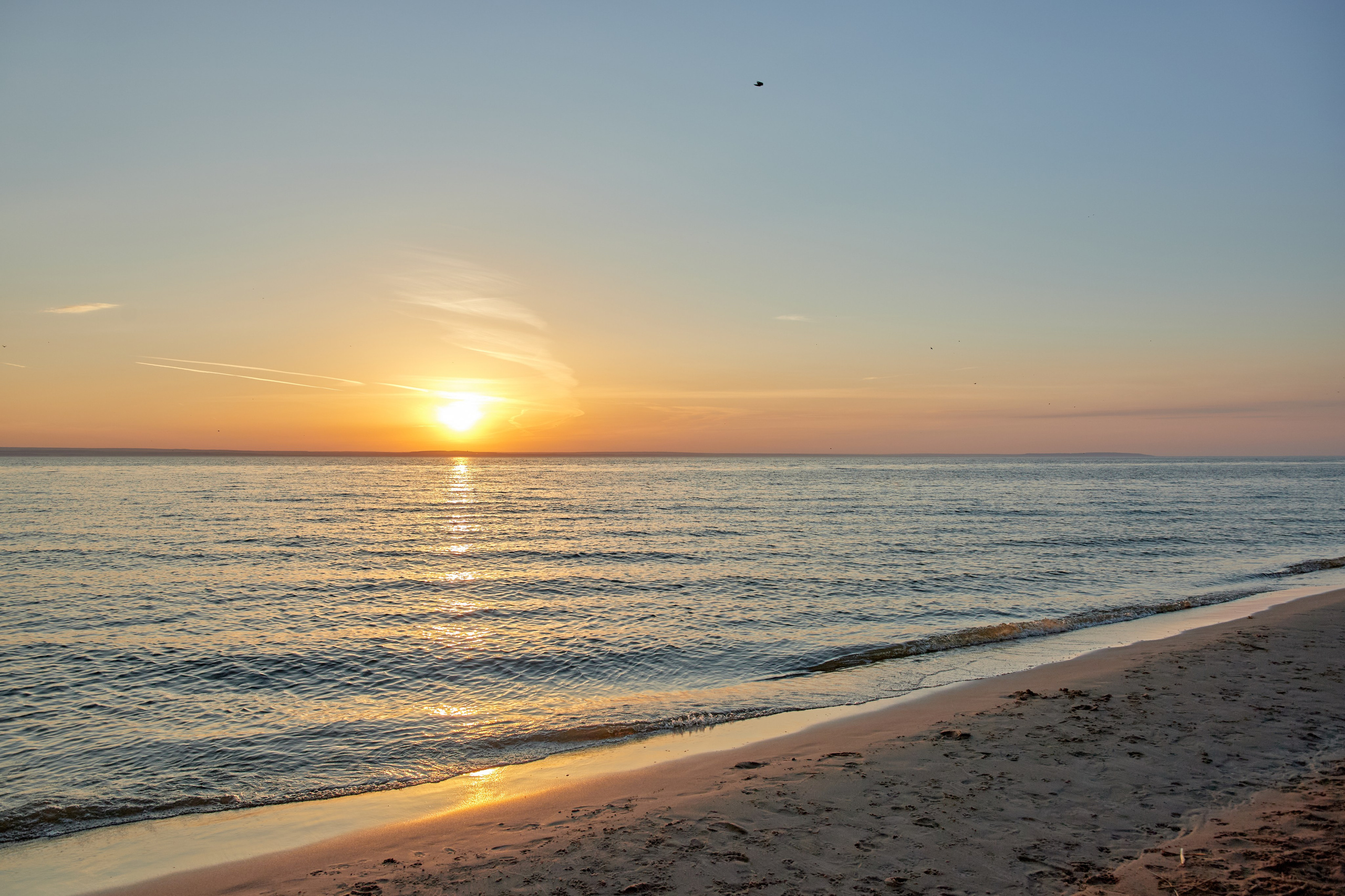 Ягодное. Фотограф в Самаре Анастасия Афанасьева