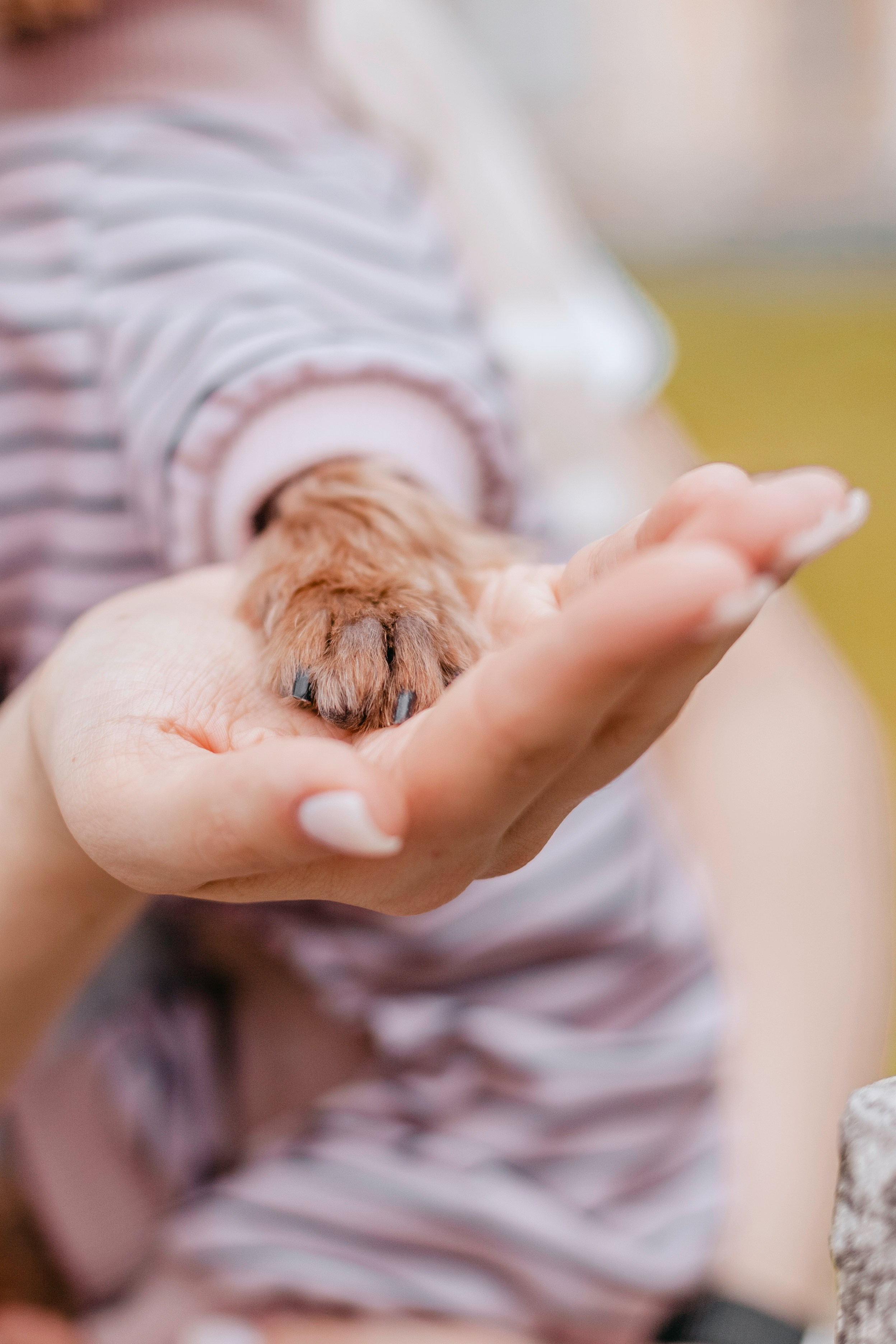 Катя и Моня. Фотограф-анималист Татьяна Степанова