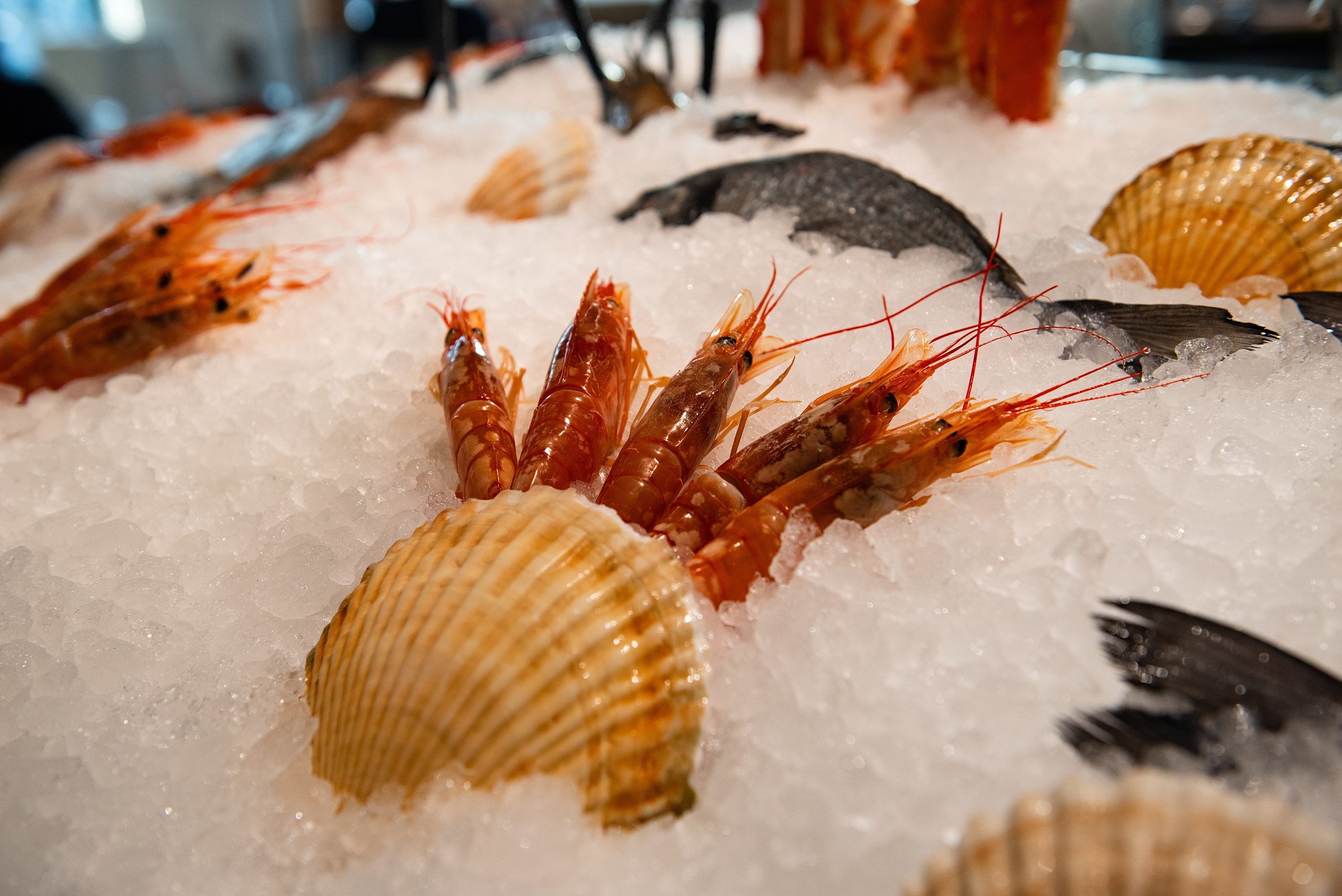 Усадьба Третьякова/ ресторан Аврора. Фотограф, визажист. Москва