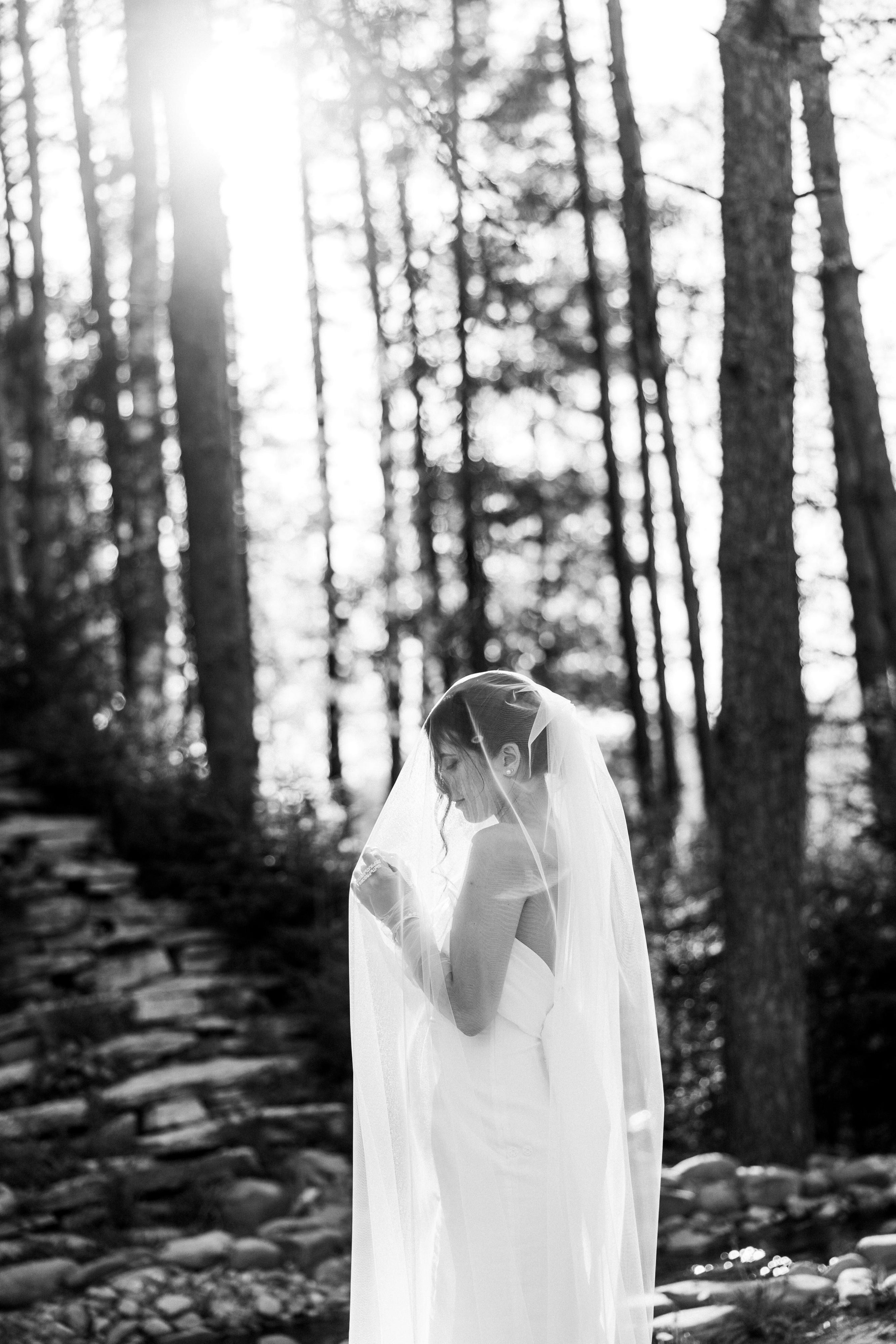 Даня + Саша. Свадебный фотограф в Смоленске Витя Лысенков