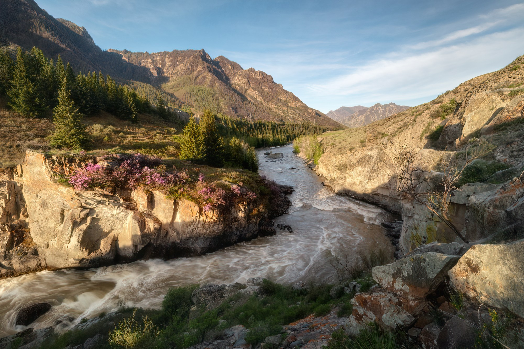 Весенний Горизонт. Республика Алтай, Онгудайский район, май 2024