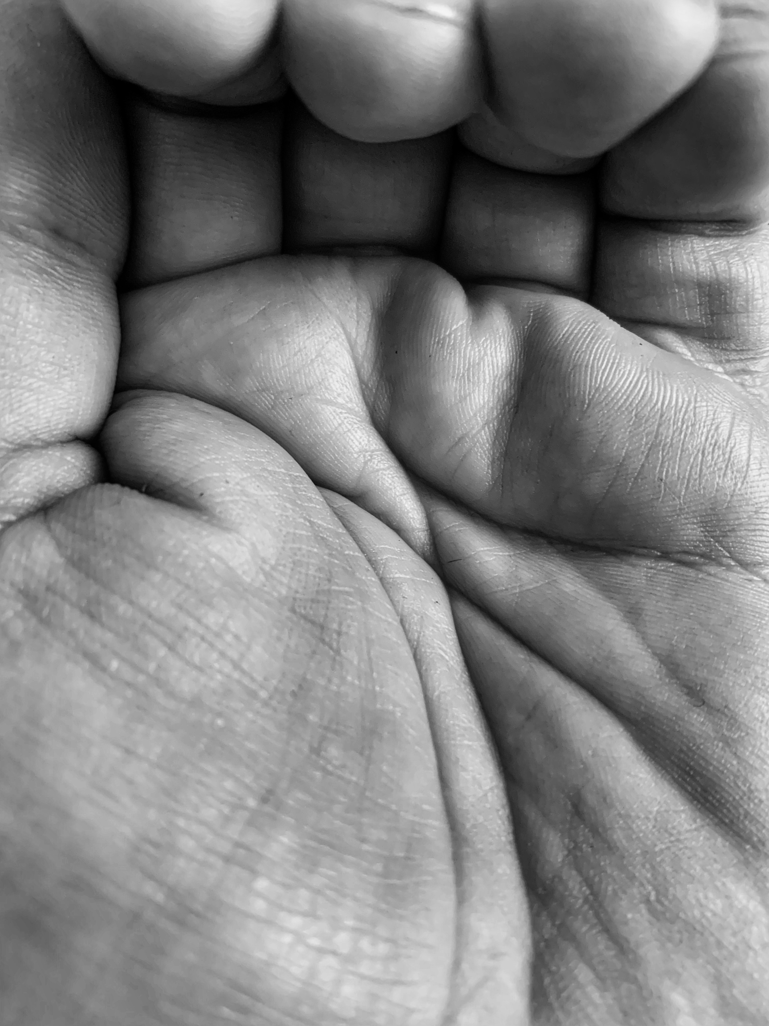 2022. Тащилин Сергей. Фотографии. Жизнь. Хобби