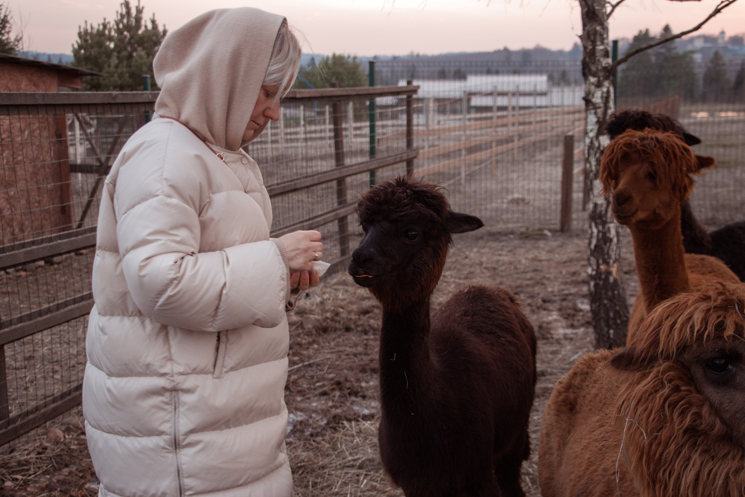 Семейная съёмка. Семейный и детский фотограф в Одинцово Архипчук Кристина