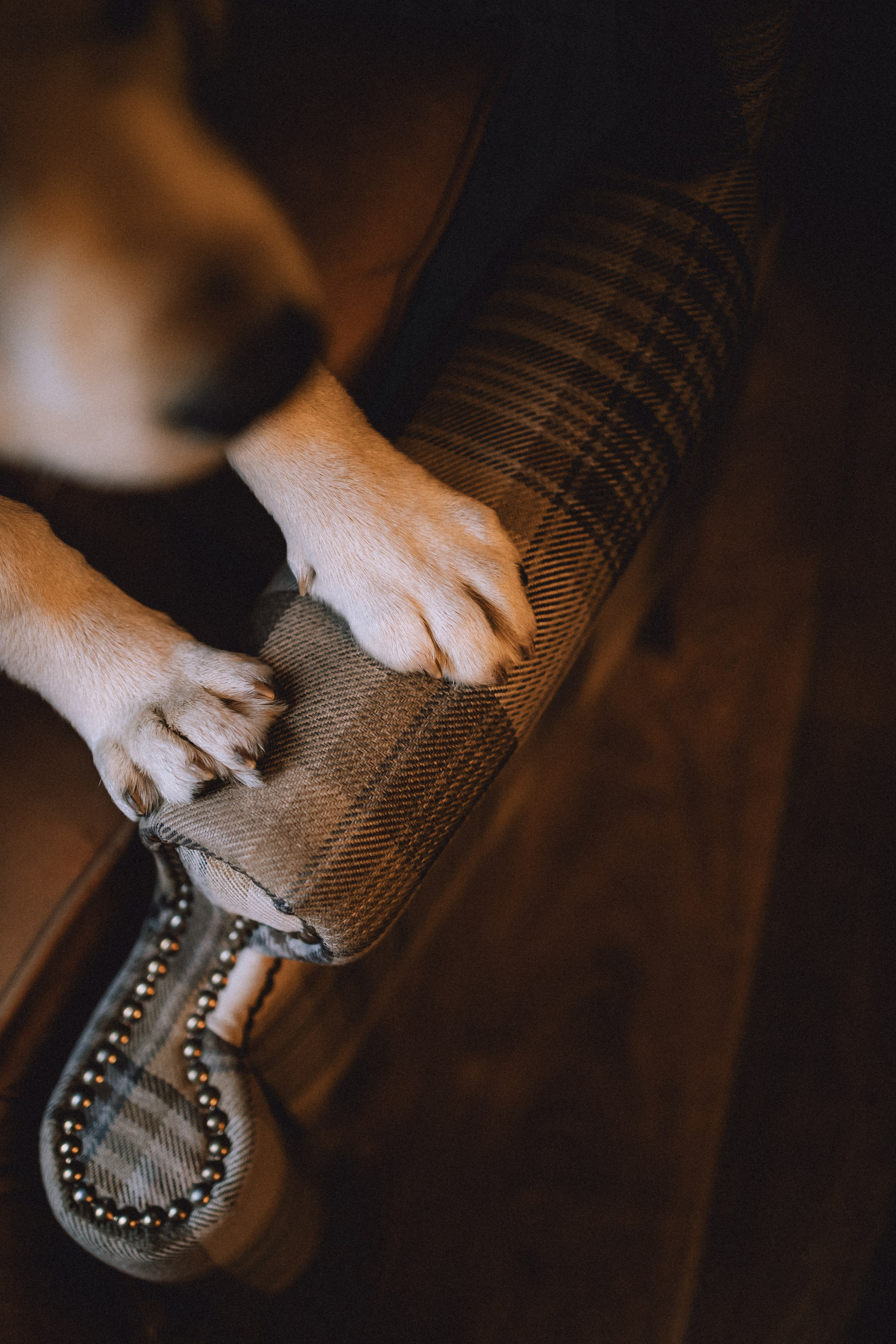 Ума, Берта и их семья