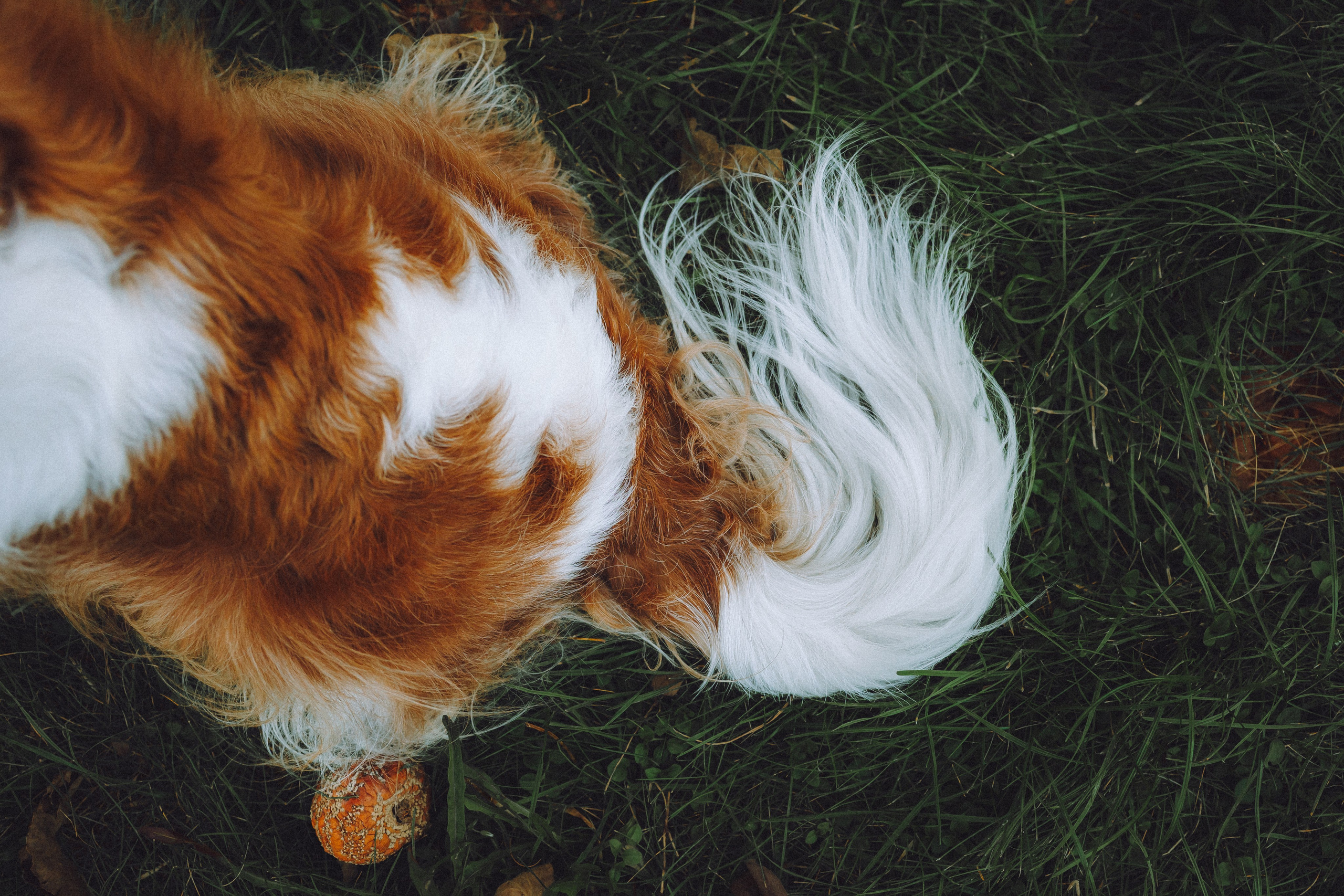 Наташа и Вики