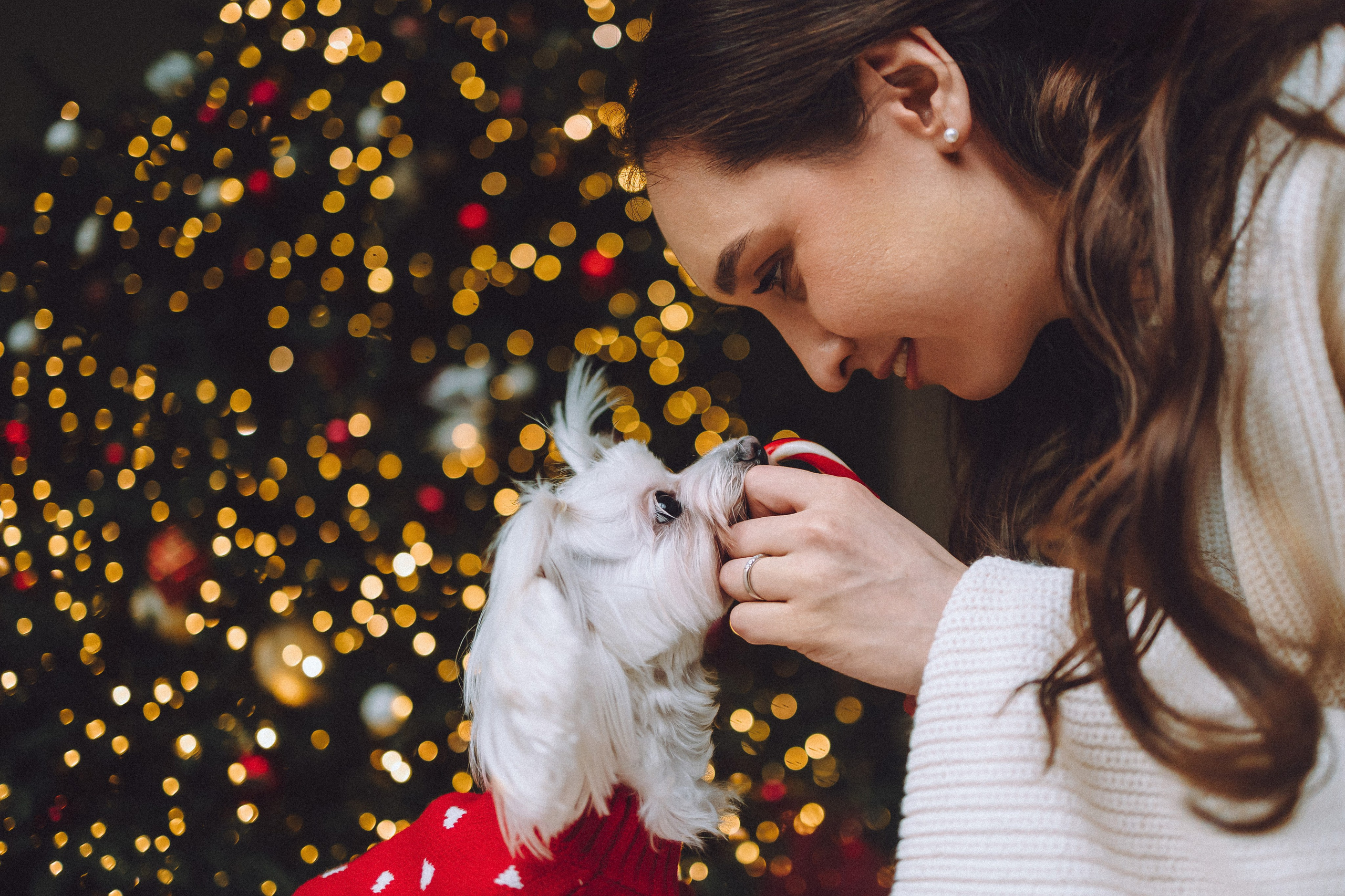 Констанция и Молли