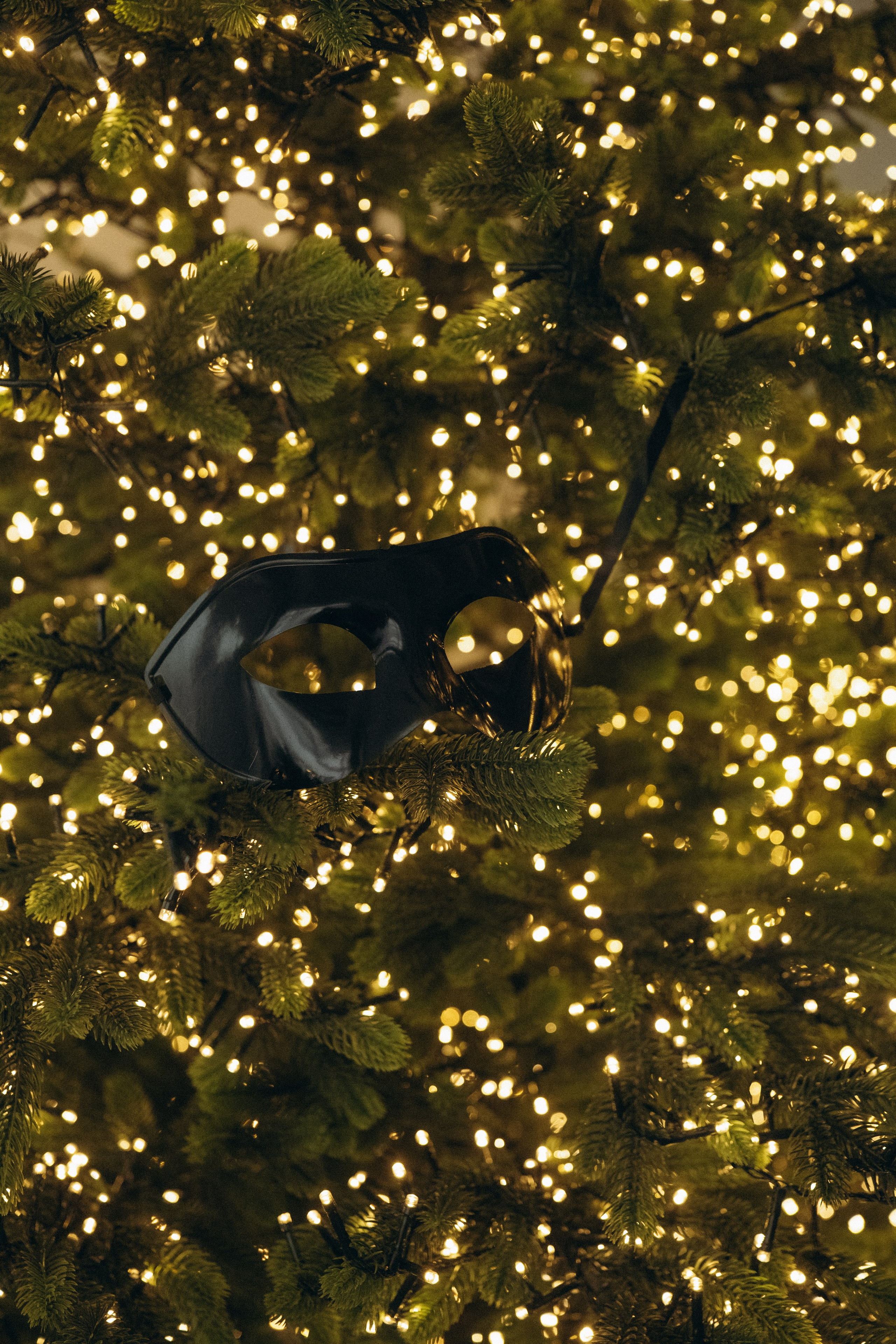 Лена и Ваня. Фотограф Москва / Зеленоград — Наталья Петухова