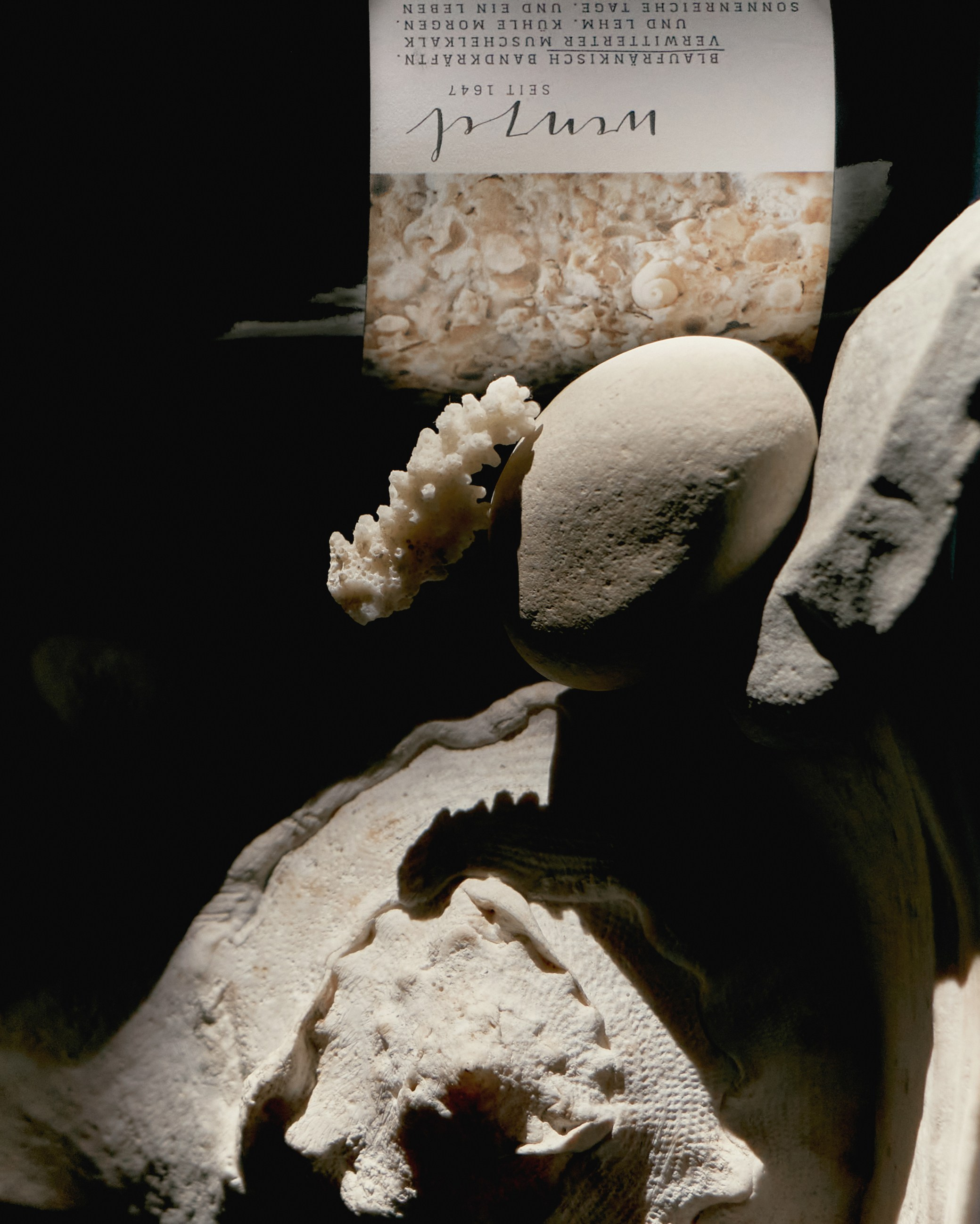 Content for Perelman People (Рыба моя, Well Well, Beerbrut, I like grill, I like wine). DISEMICHASNOVA