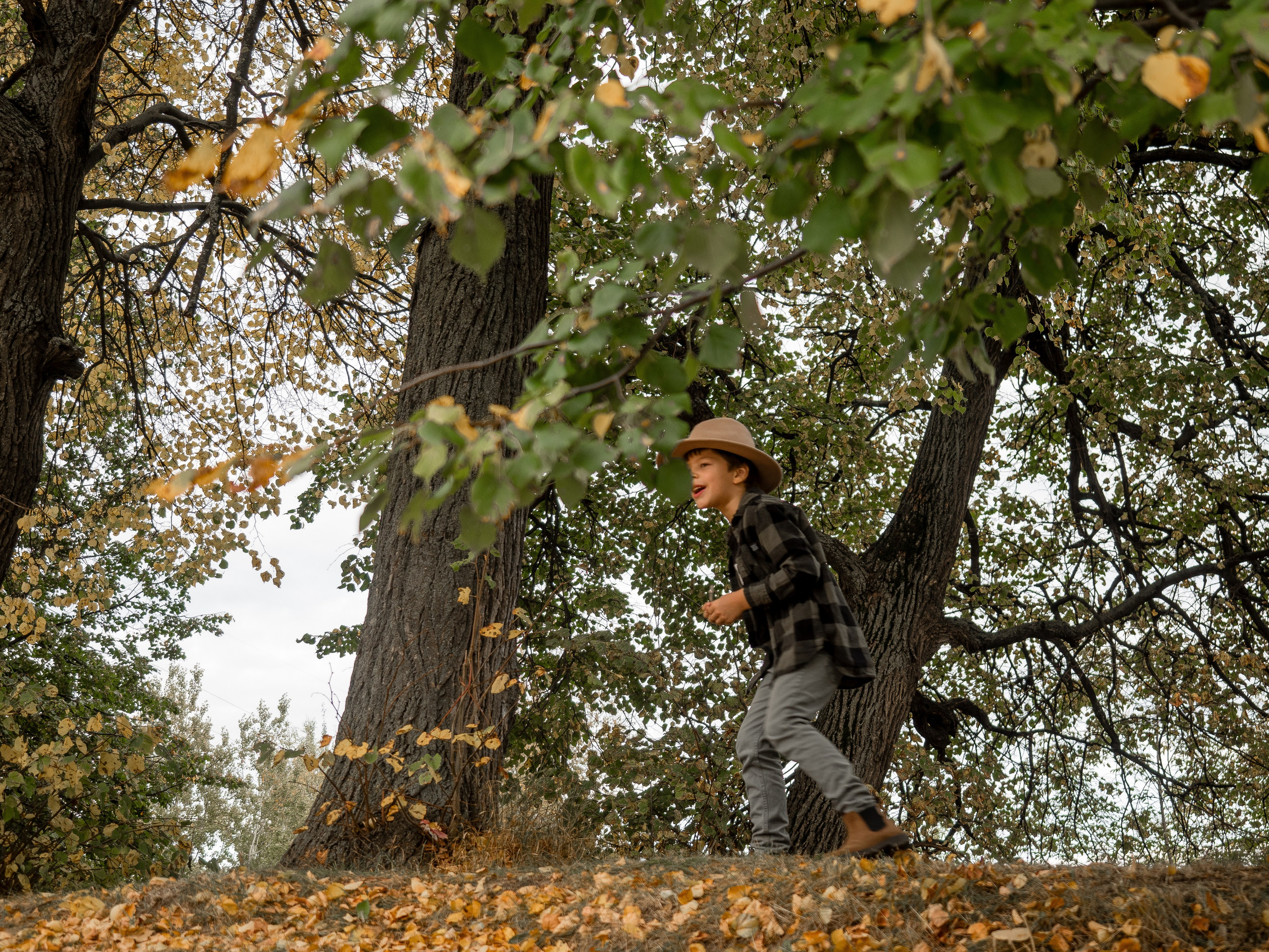 Семейная осенняя (1). Алёна Орлова Портретный фотограф Москва