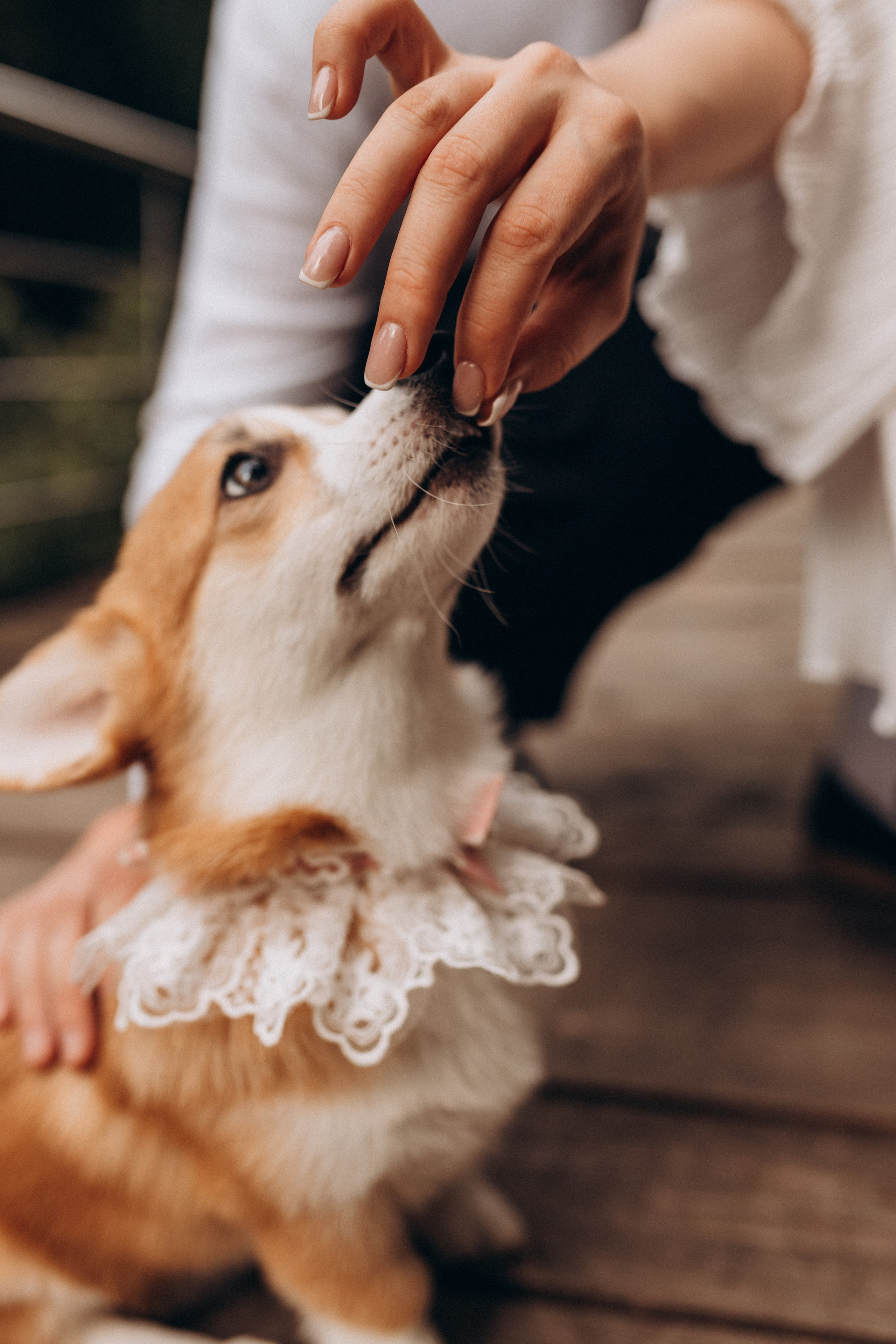 Саша & Даниил. Семейный и женский фотограф в Москве Коновалова Олеся