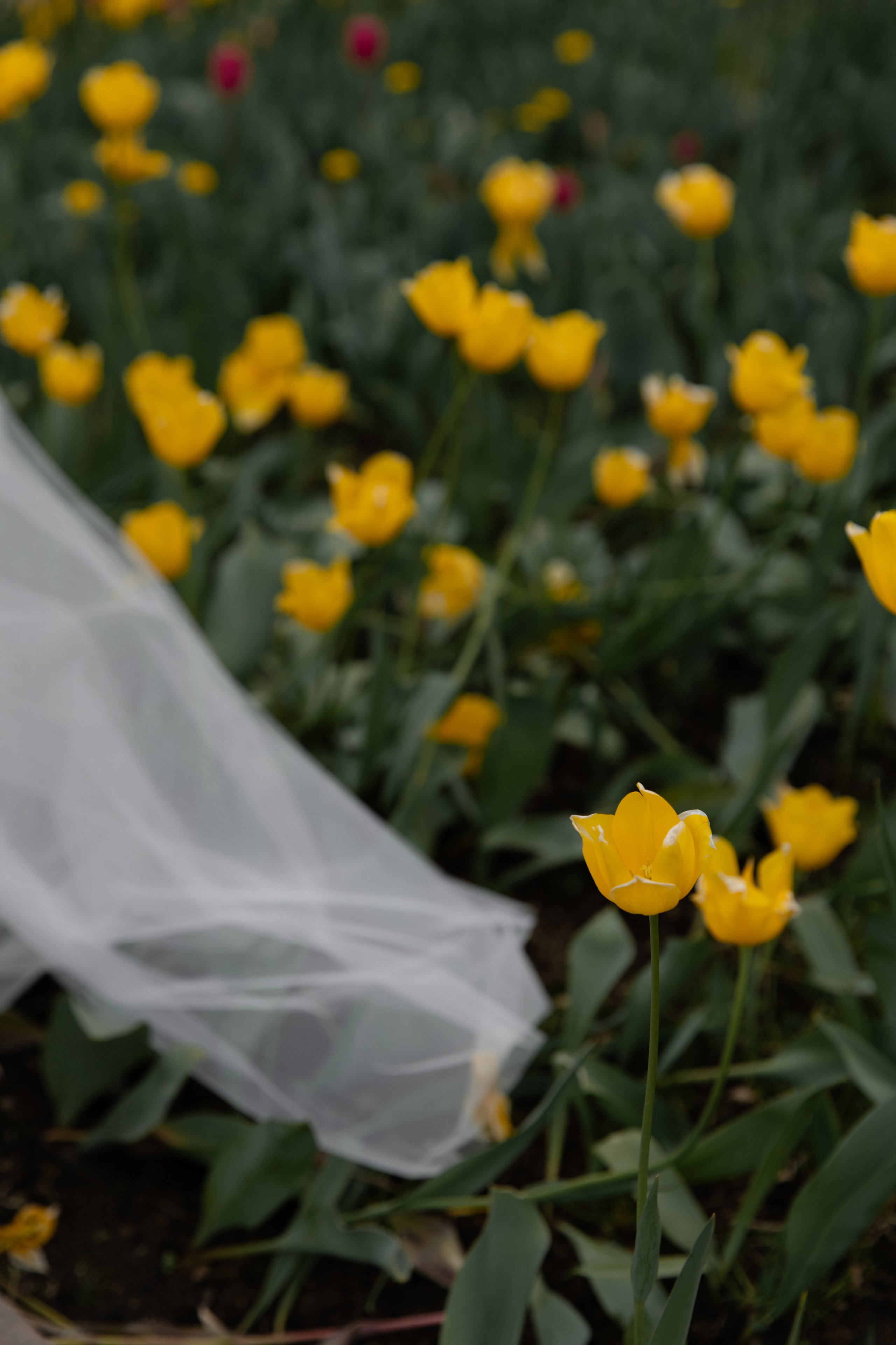 Даша и Леша. Фотограф Нижний Новгород