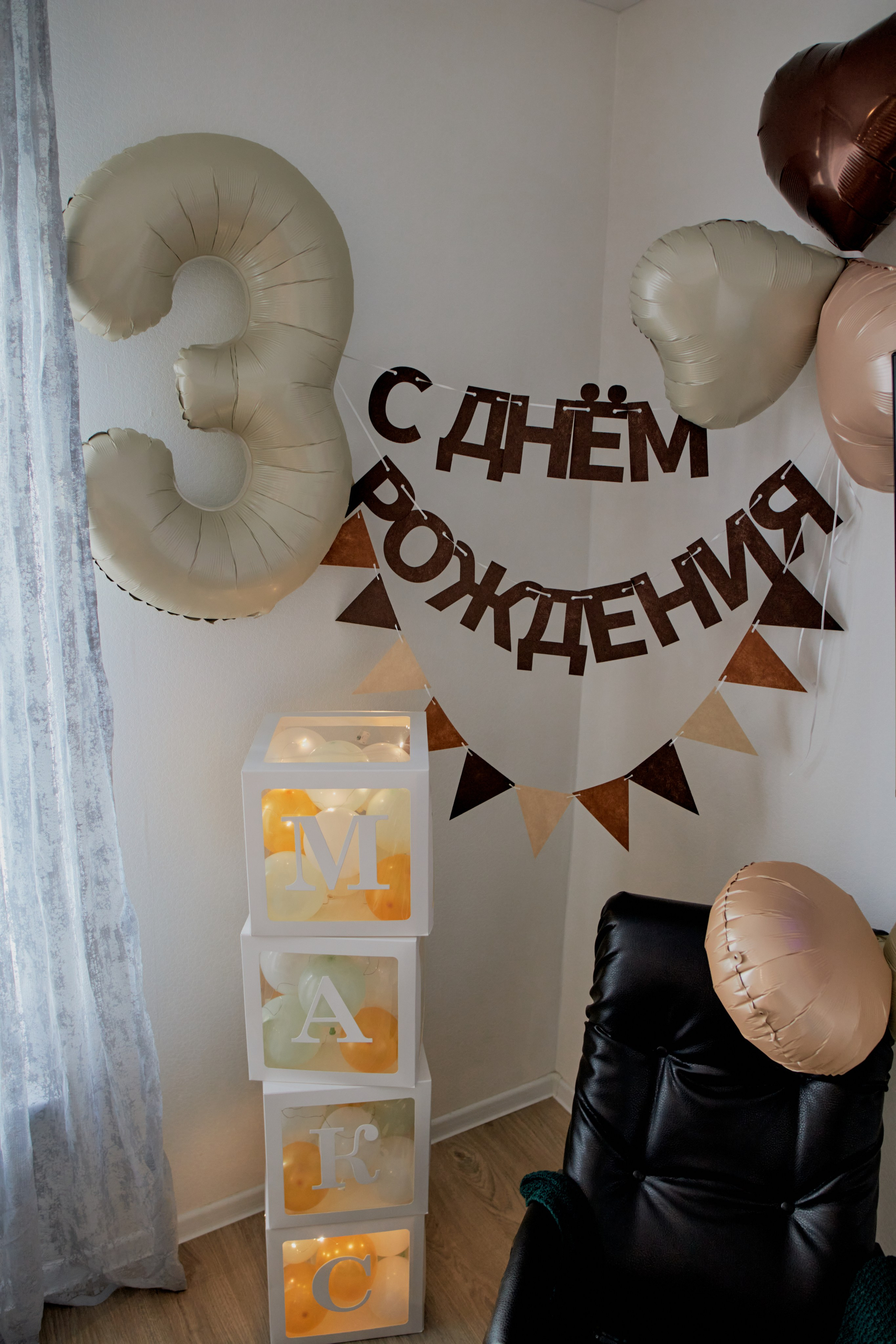 Три кота. Фотограф Москва