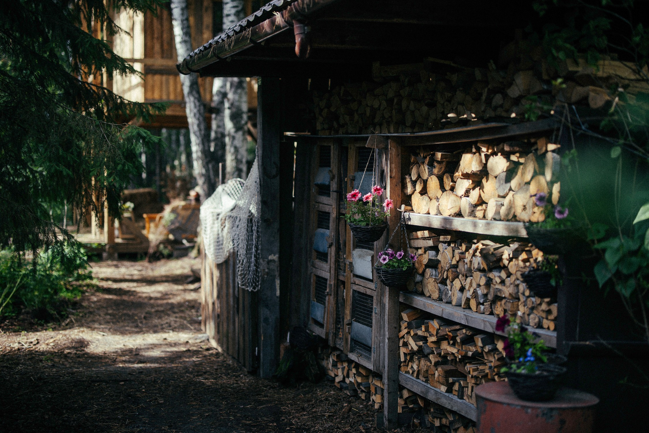 Зал «Сад» фотостудии «Зачарованный Сад» в Екатеринбурге — природная локация для фотосессий. Фотостудия «Зачарованный Сад» в 20 минутах от центра Екатеринбурга