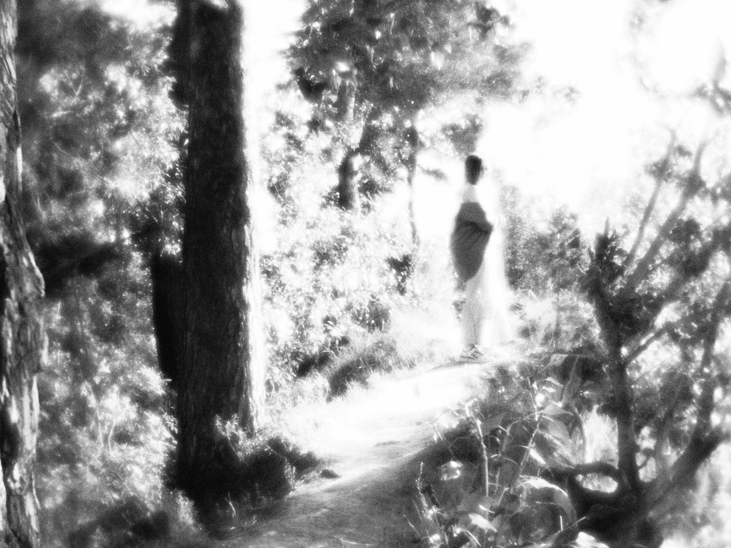 Влюбленные в жизнь