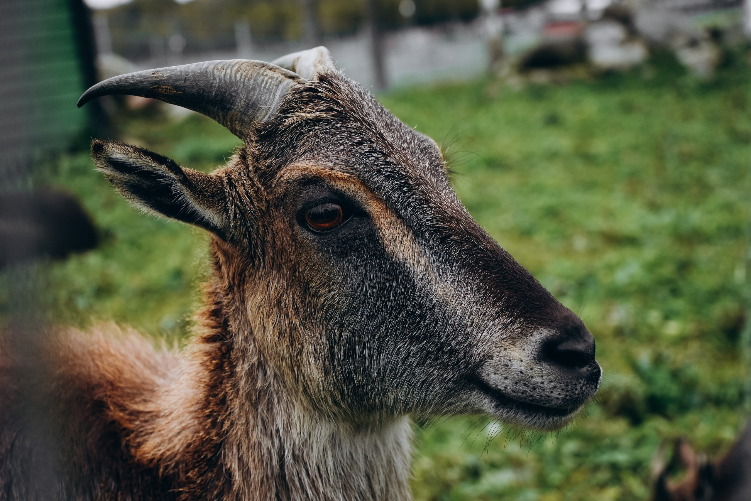 СЕВЕР. Event фотограф Степанова Александра