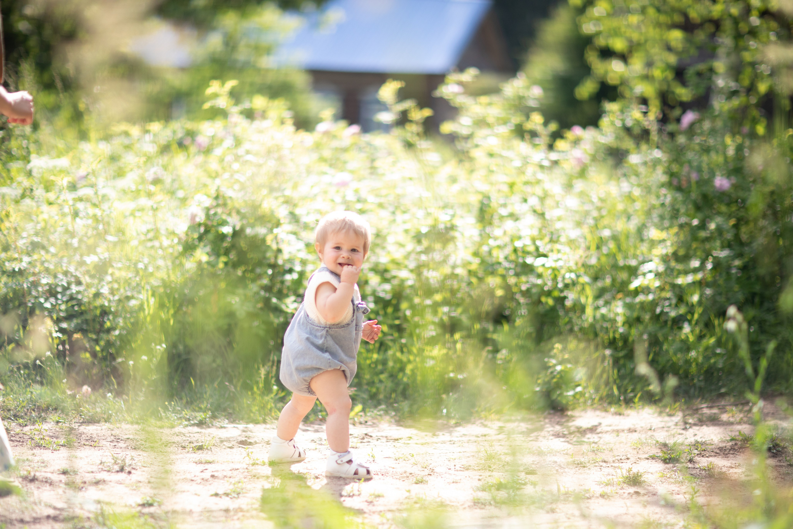 Фототуур «Край озёр» Лето. Семейный фотограф в Москве Анастасия Гурьянова