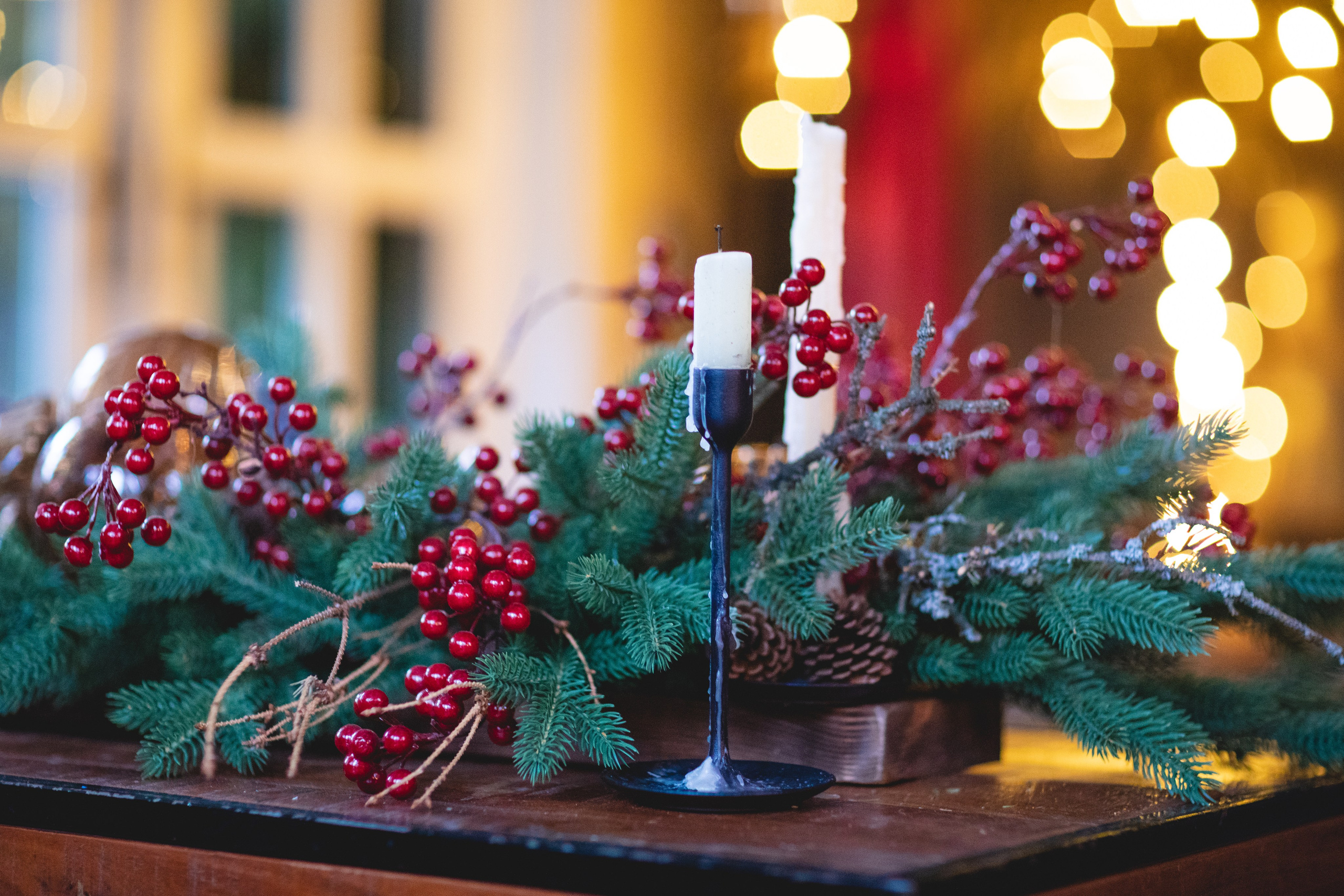 Домик в лесу. Семейный фотограф в Москве Анастасия Гурьянова