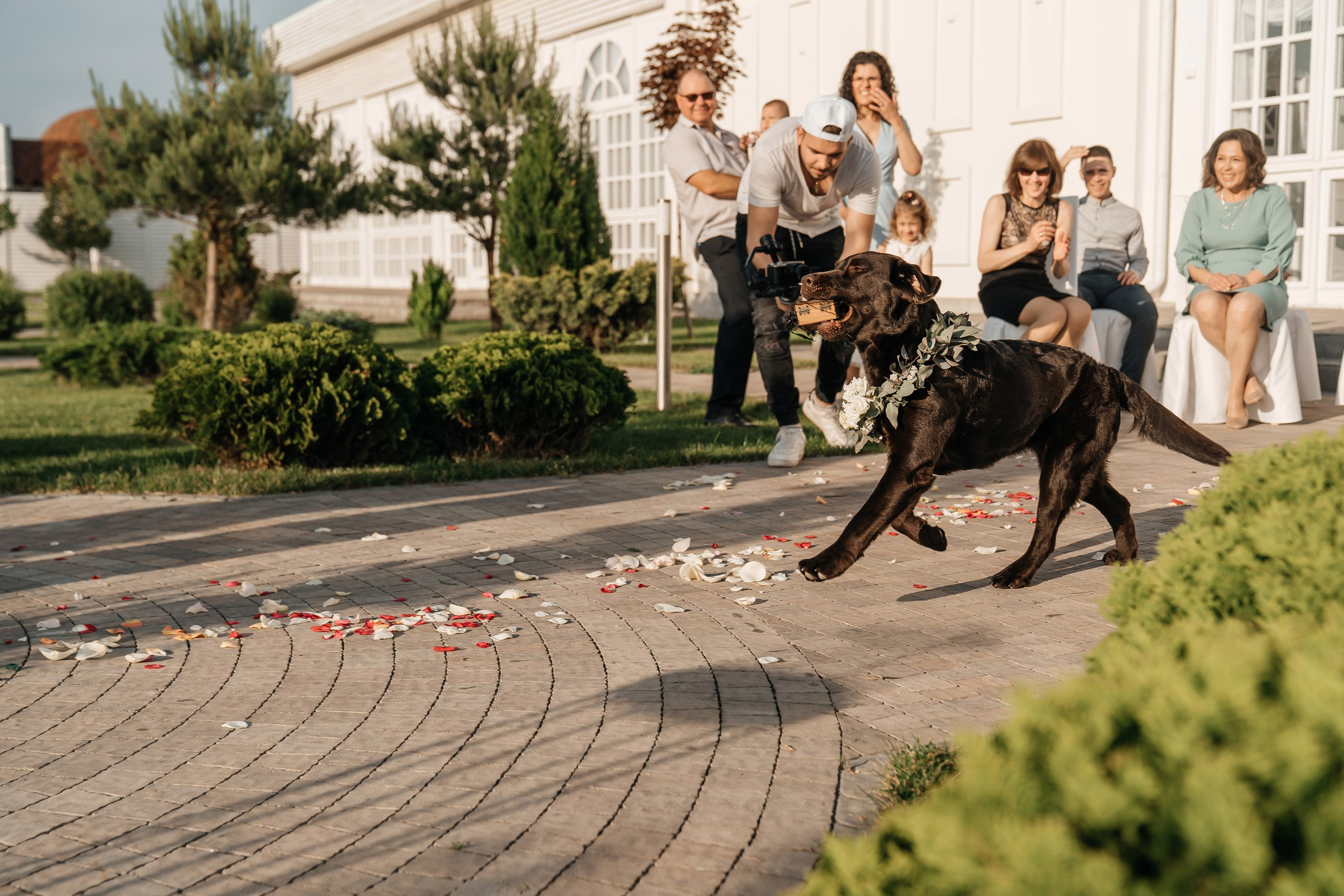 Паша & Юля. Lokos.pro Ник Соколов Фото и Видео Москва/Ростов-на-Дону