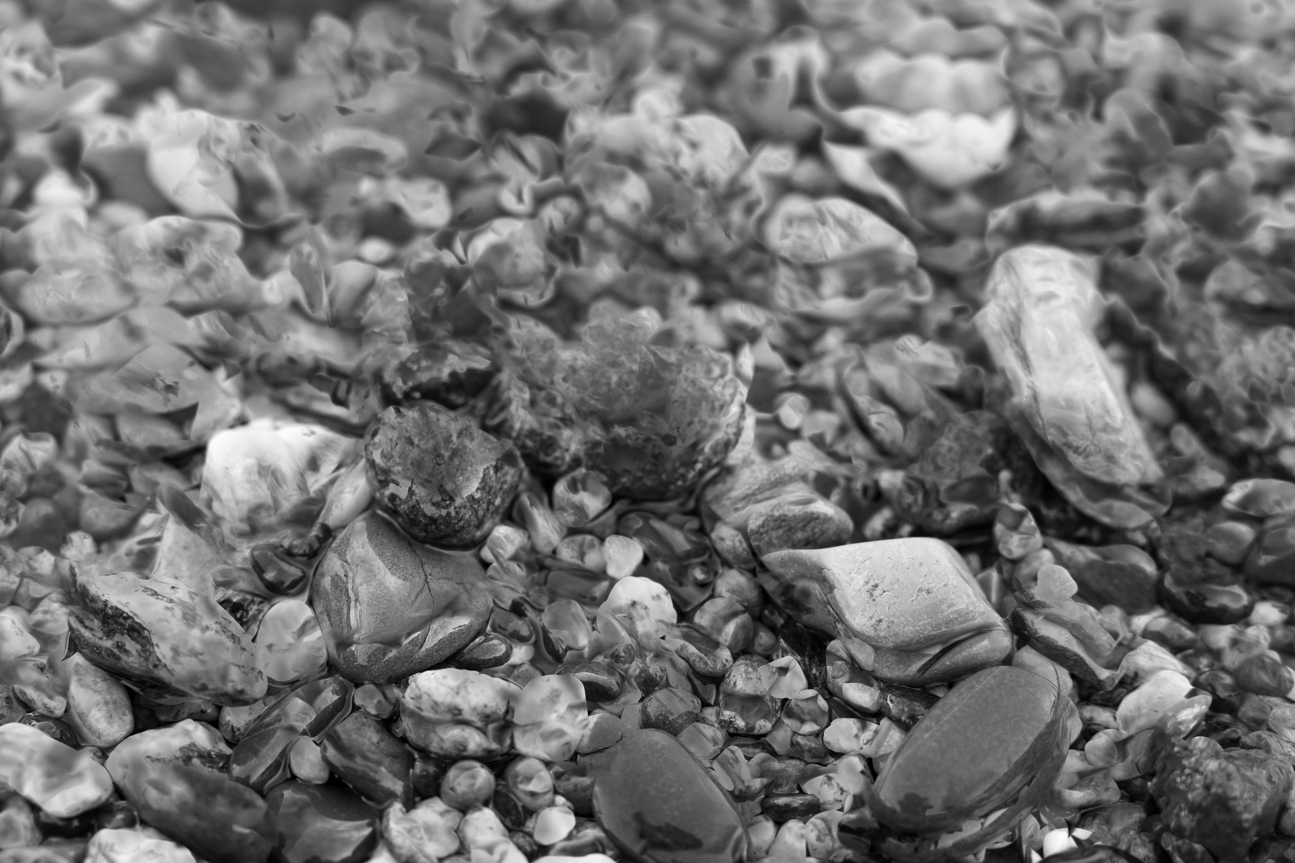 Art prints. Фотограф алина стерхова, алина стерхова фотограф, фотограф москва