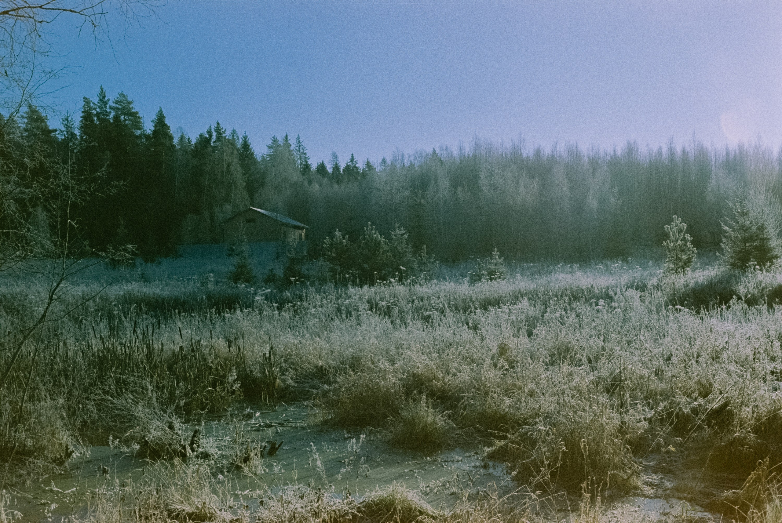 Minolta Hi-Matic 7sII / Kodak Color 200 (просрочка) / Лукино