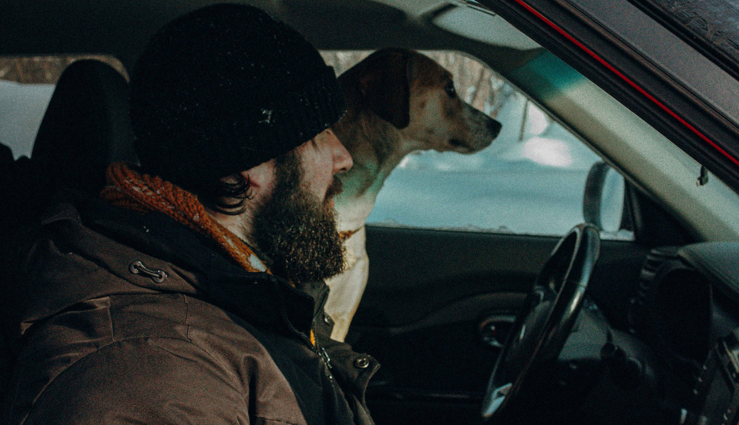 Свобода и ее семья. Фотограф-анималист в Москве Лера Черноног