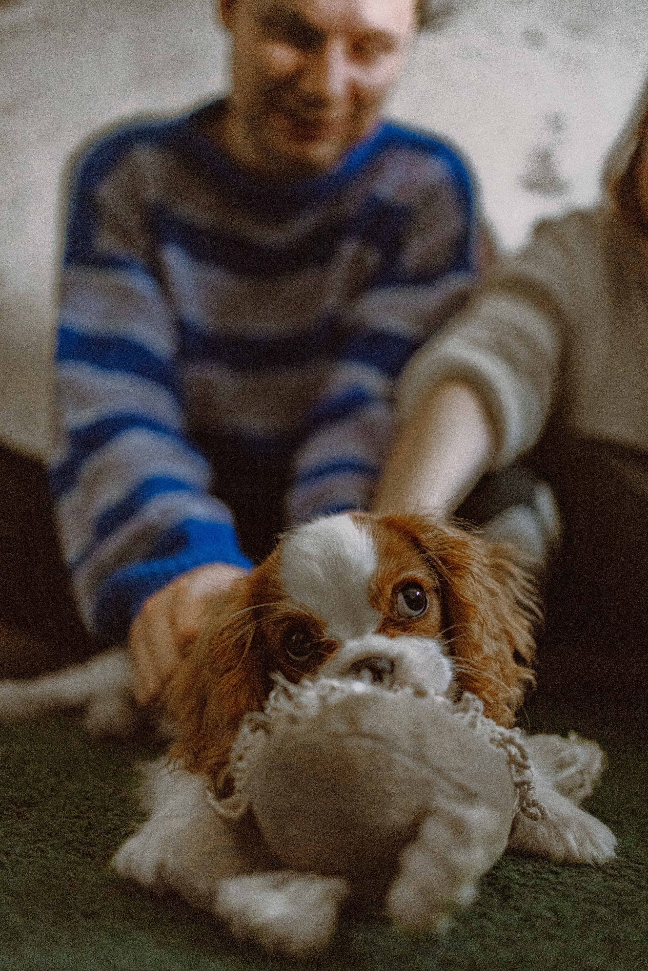 Юля и Кипр. Фотограф-анималист в Москве Лера Черноног