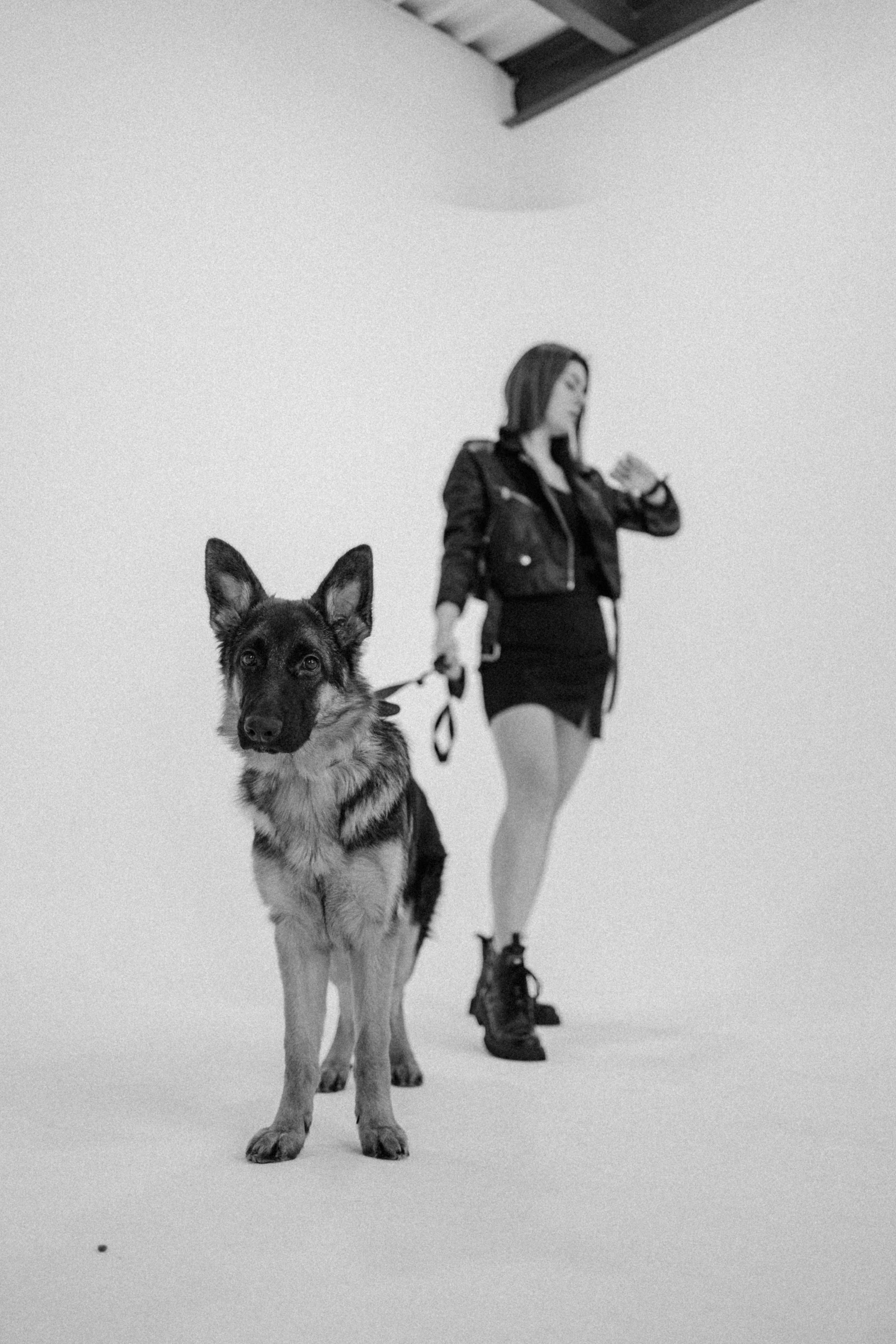 Ася и Буся. Фотограф-анималист в Москве Лера Черноног