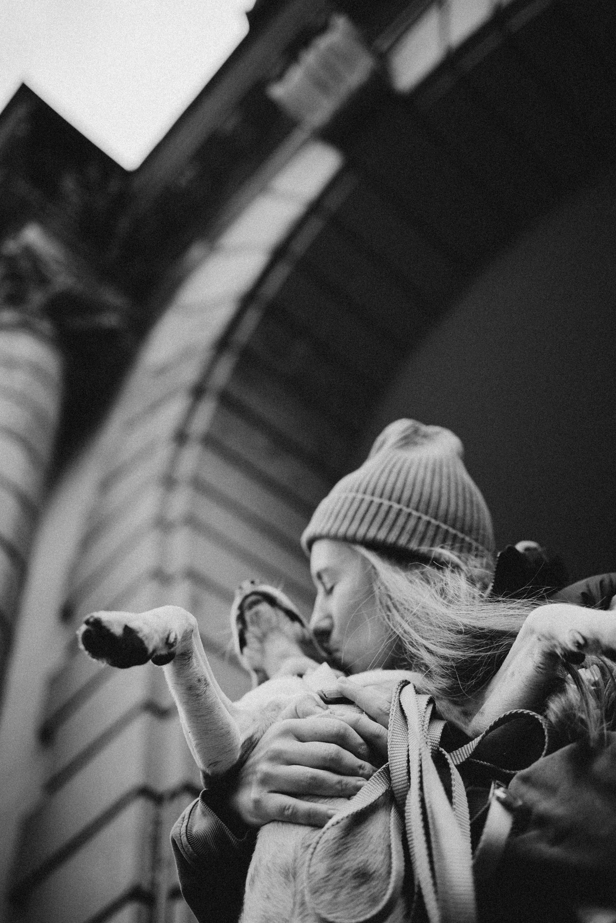 Света и Ива. Фотограф-анималист в Москве Лера Черноног