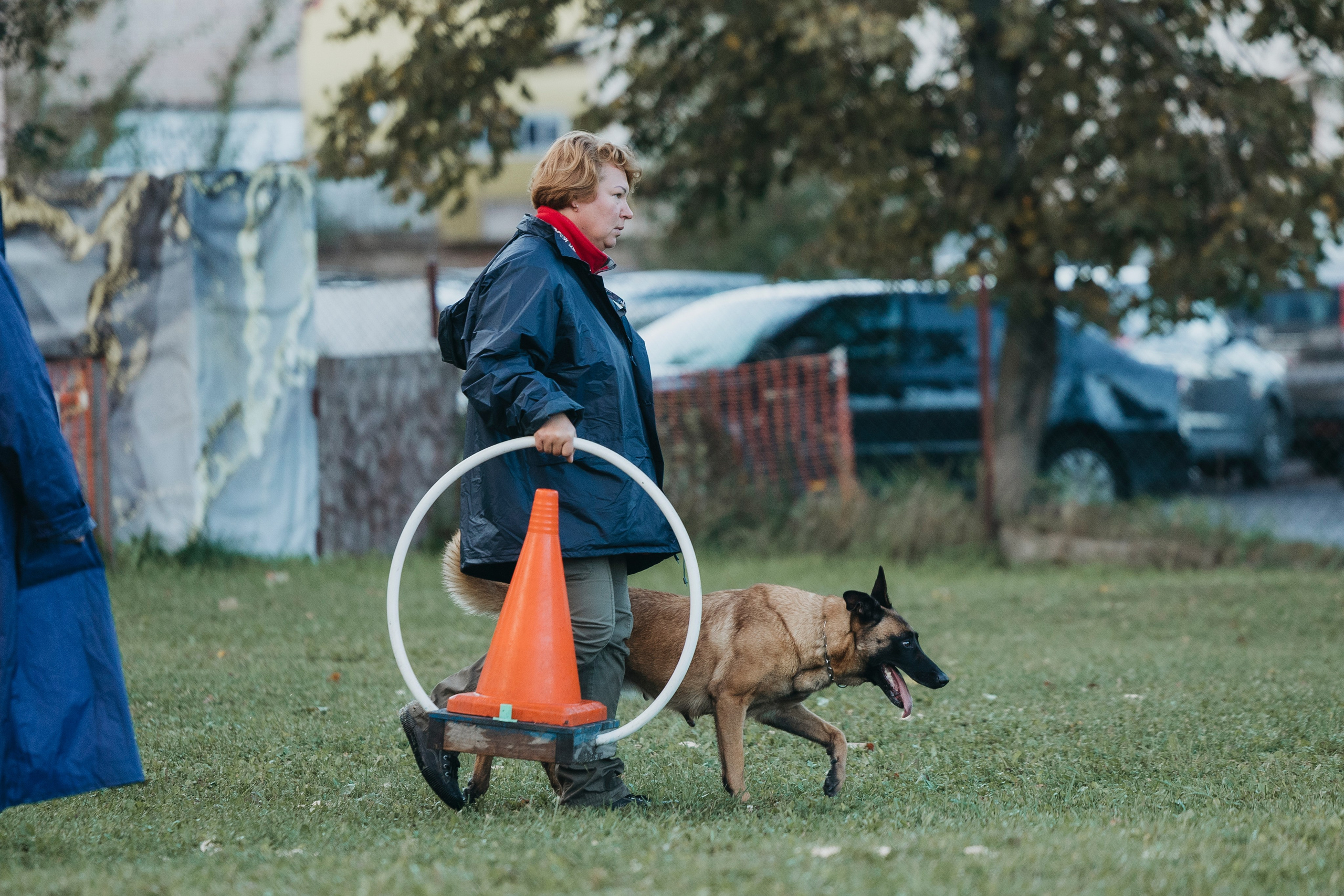 Испытания по мондьорингу г. Пушкин 29.09.2024. Фотограф-анималист Анна Маринич