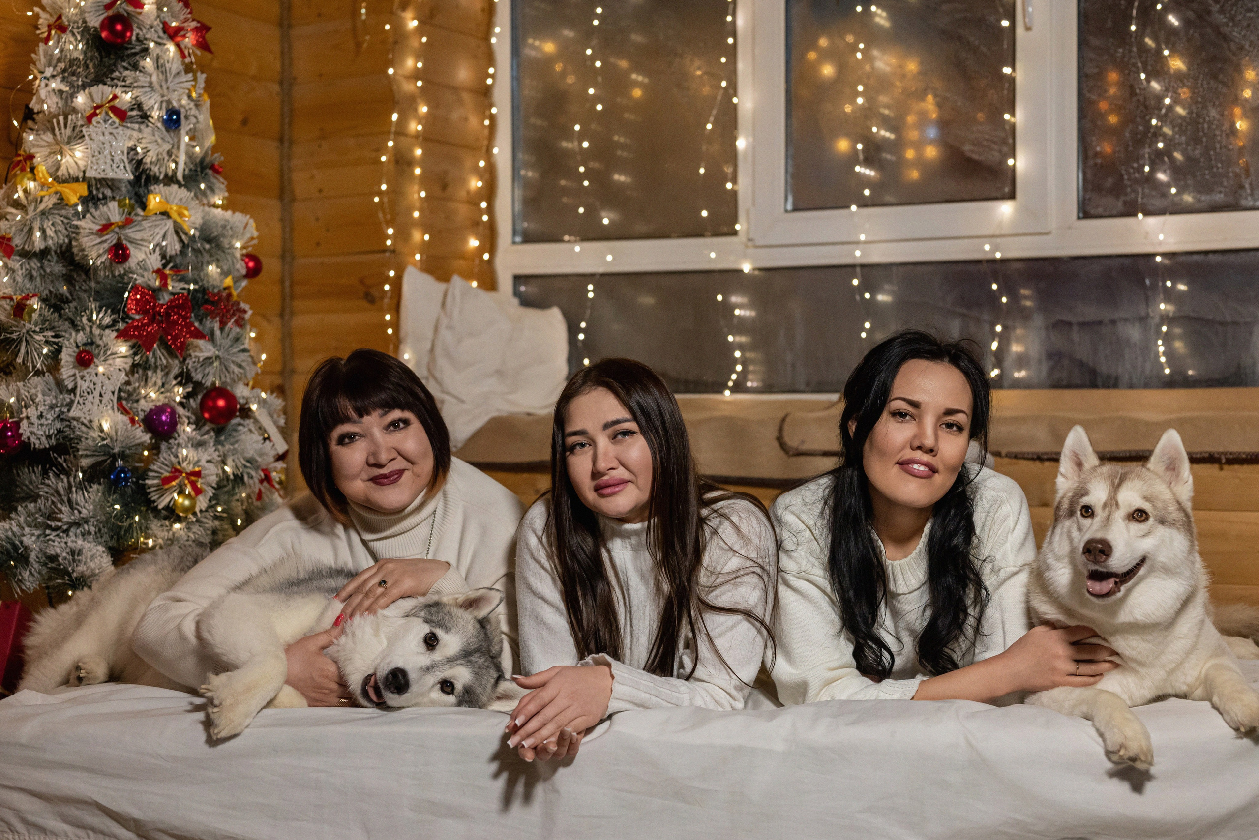 Фотопроект с хаски 2025 г. Фотограф в городе Салават