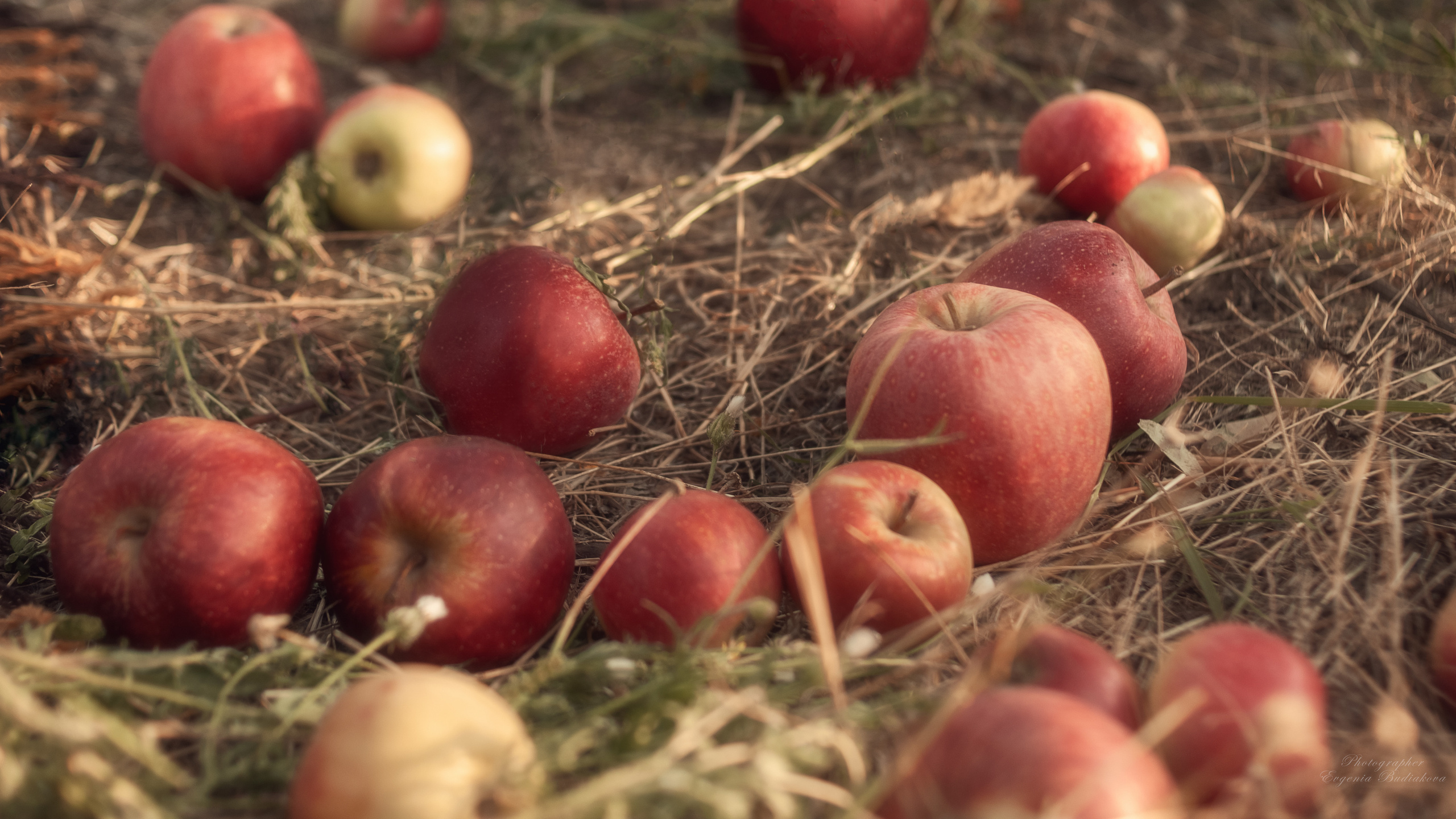 Яблочный сон. Фотохудожник и фоторежиссёр Евгения Будякова