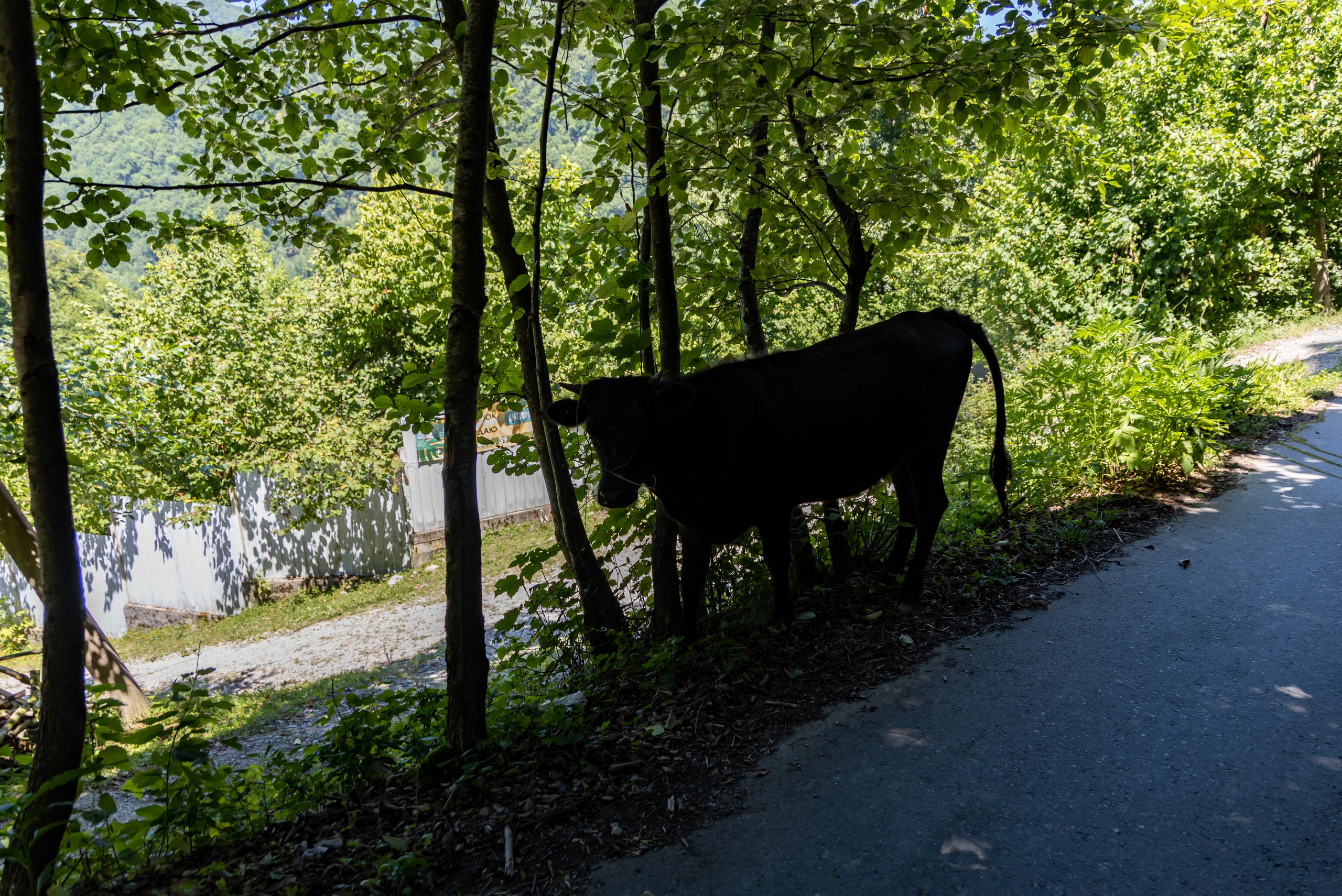 Сочи. Солох Аул. Репортажный, семейный и студийный фотограф в Москве Демин Алексей