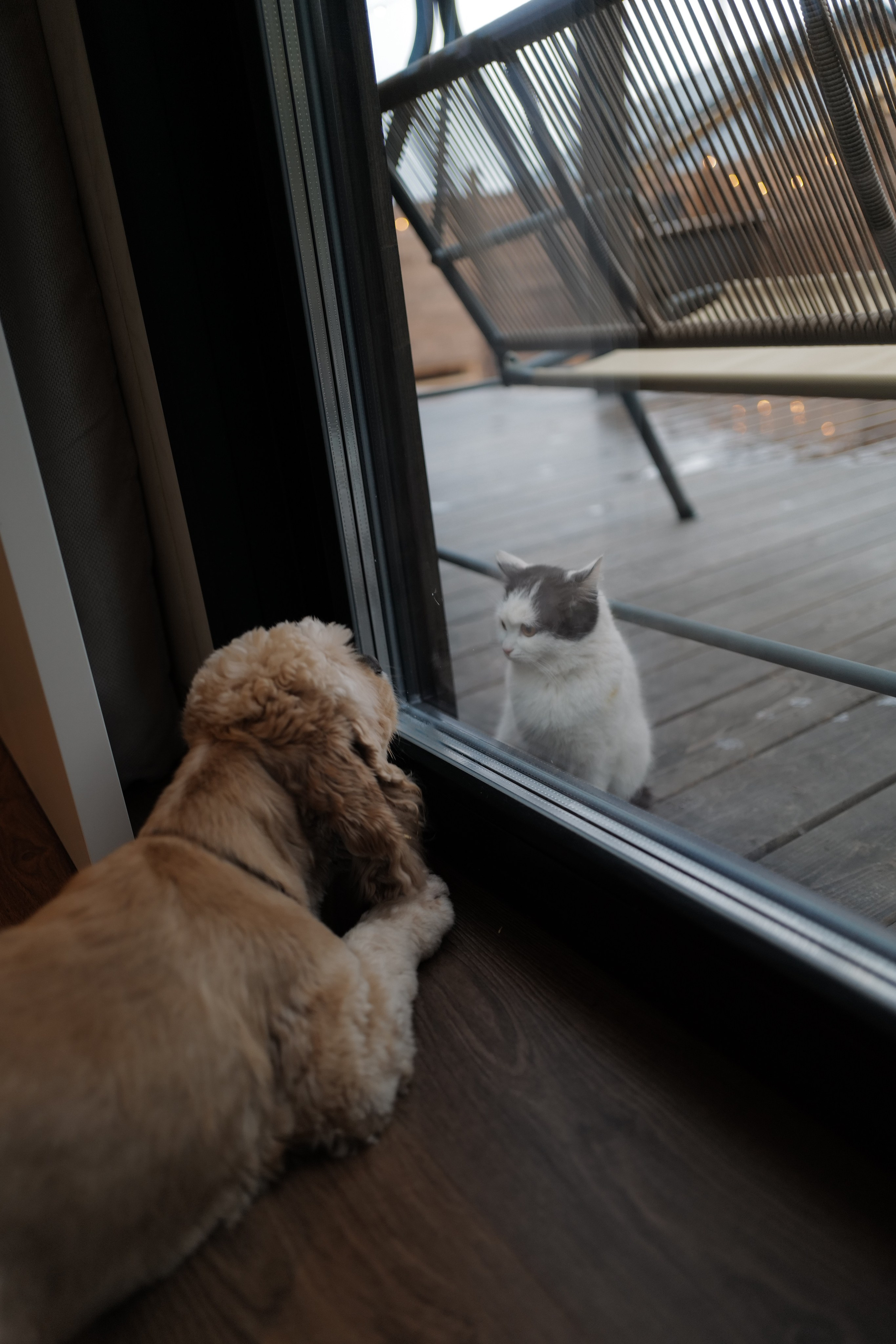 Загородные домики. Фотограф в Москве Юлия Былинина