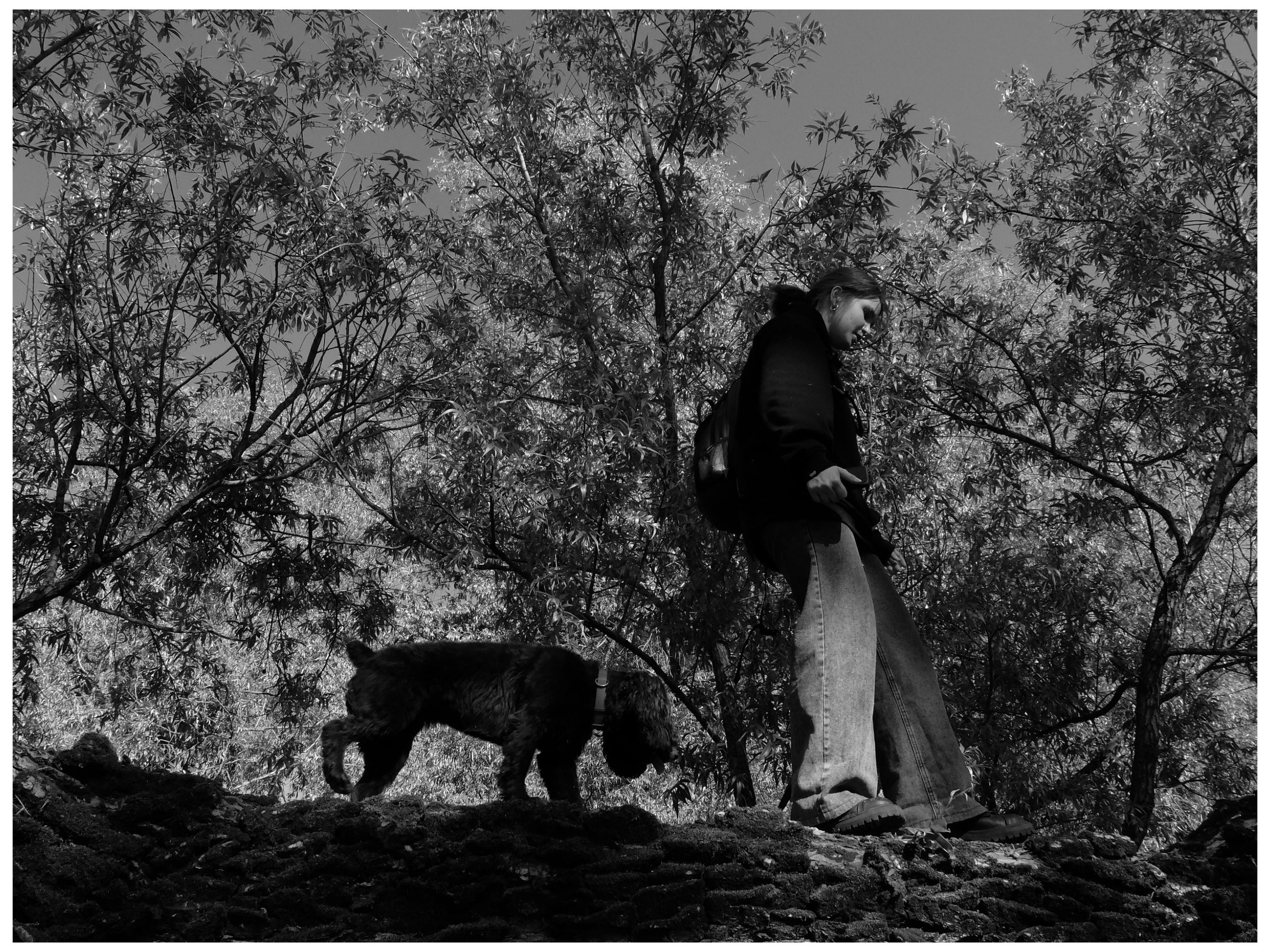 Промежуточные моменты (2022)