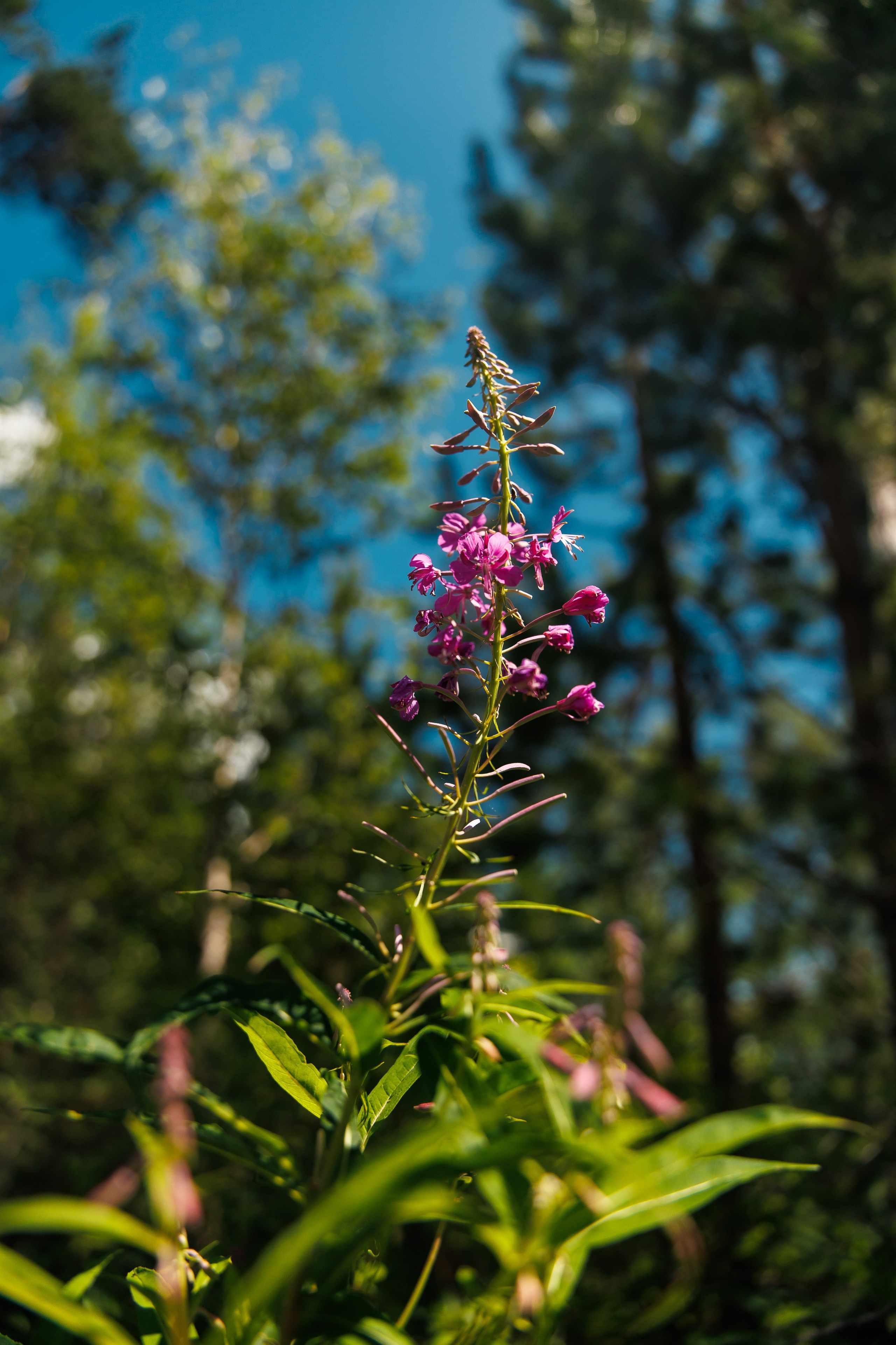 Летний Байкал