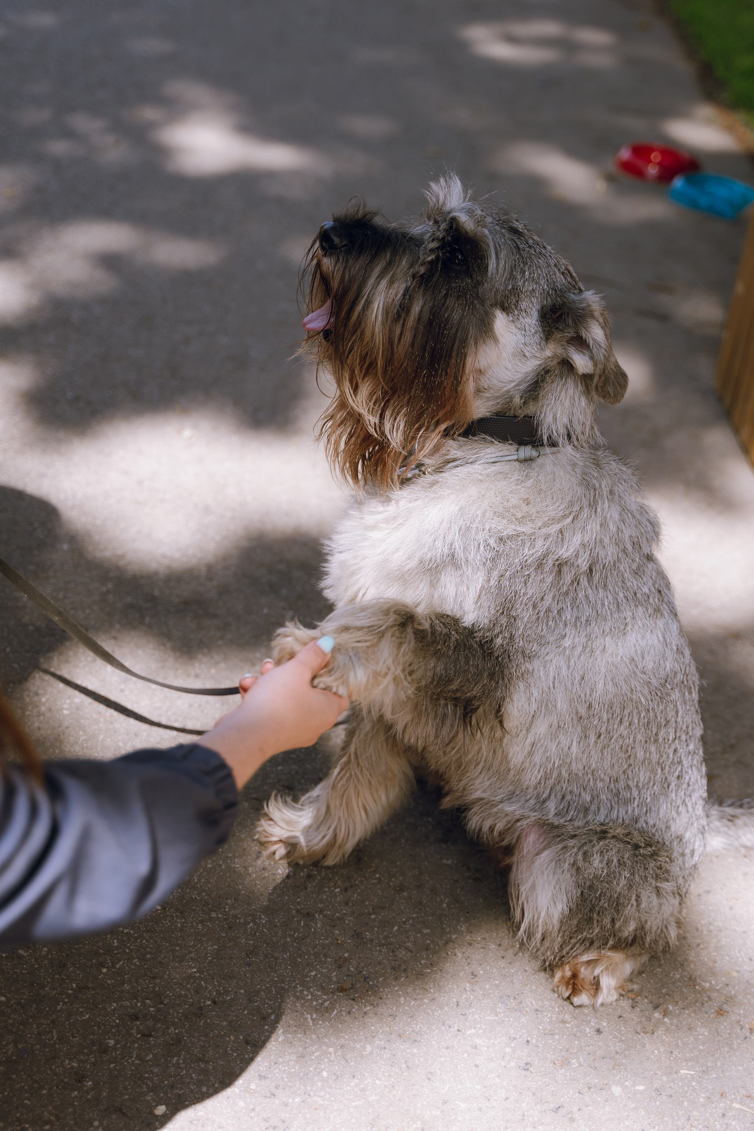 Площадка фестиваля «Мампус и его друзья» в Лесопарке 2025. Фотограф Надежда Погребняк | Рязань | Москва