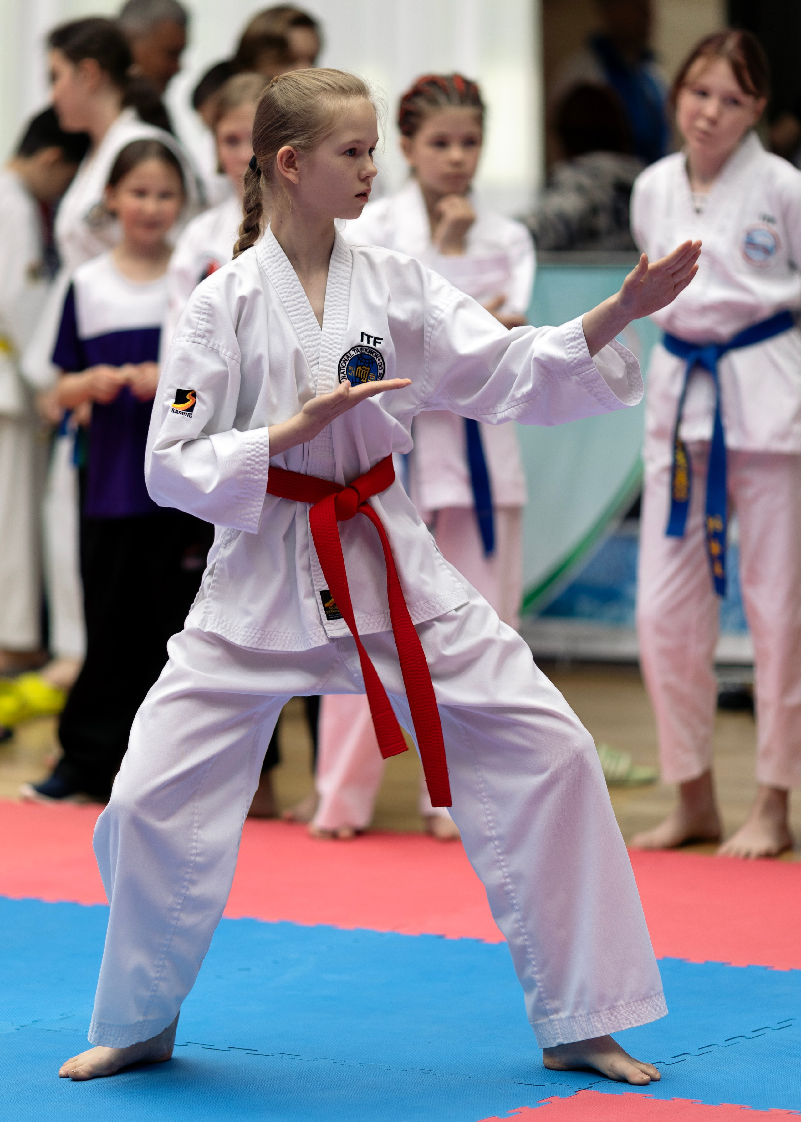 Фото турнира по Тхеквондо, проводимого в г. Железноводске. Медиапродюсер, фотограф в Минеральных Водах —Виктор Холодов